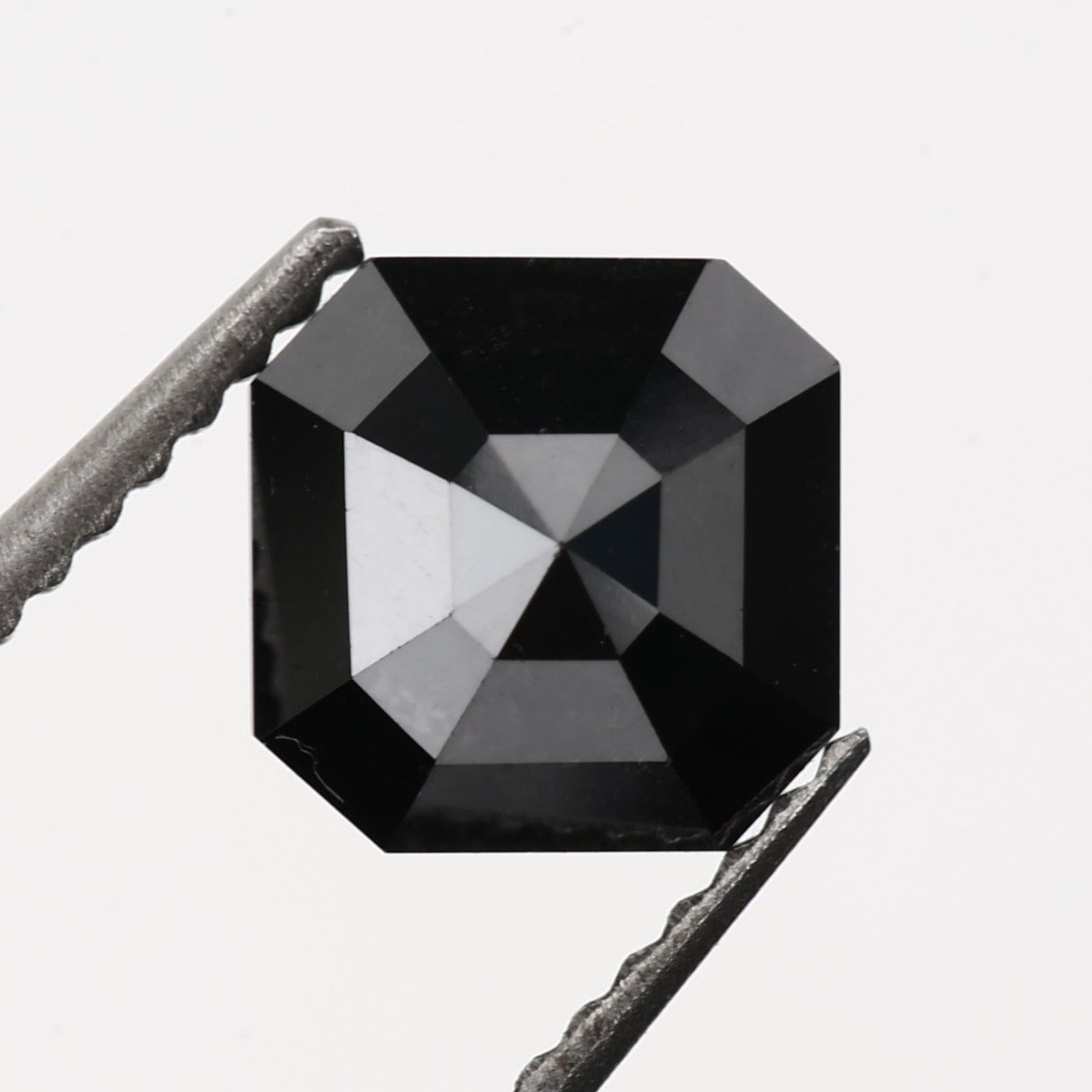 ClariOLED Transparent OLED Display price