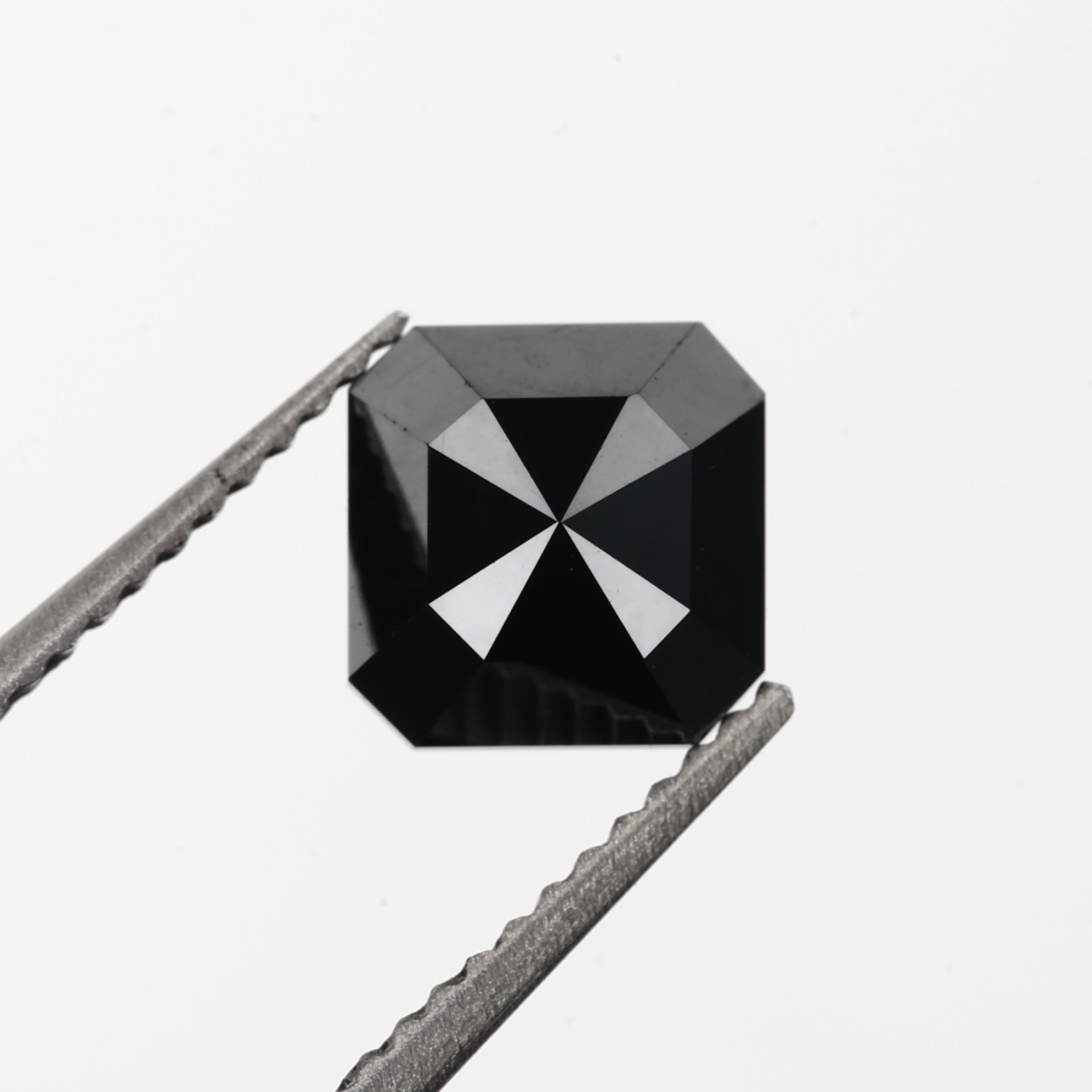 ClariOLED Transparent OLED Display price