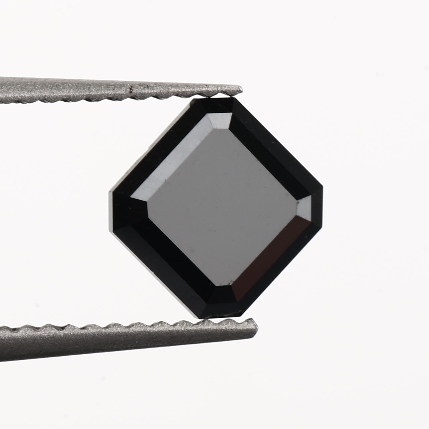 ClariOLED Transparent OLED Display price