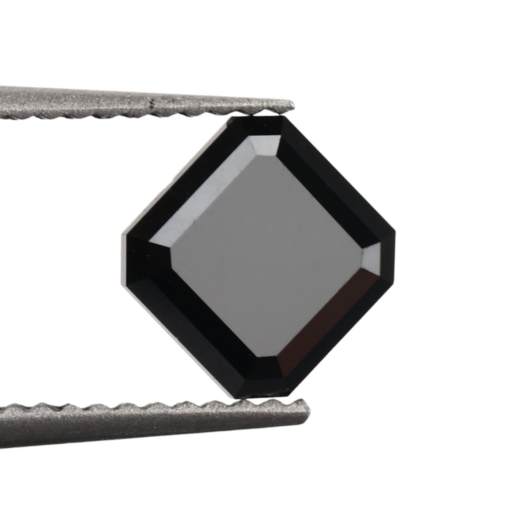 ClariOLED Transparent OLED Display price