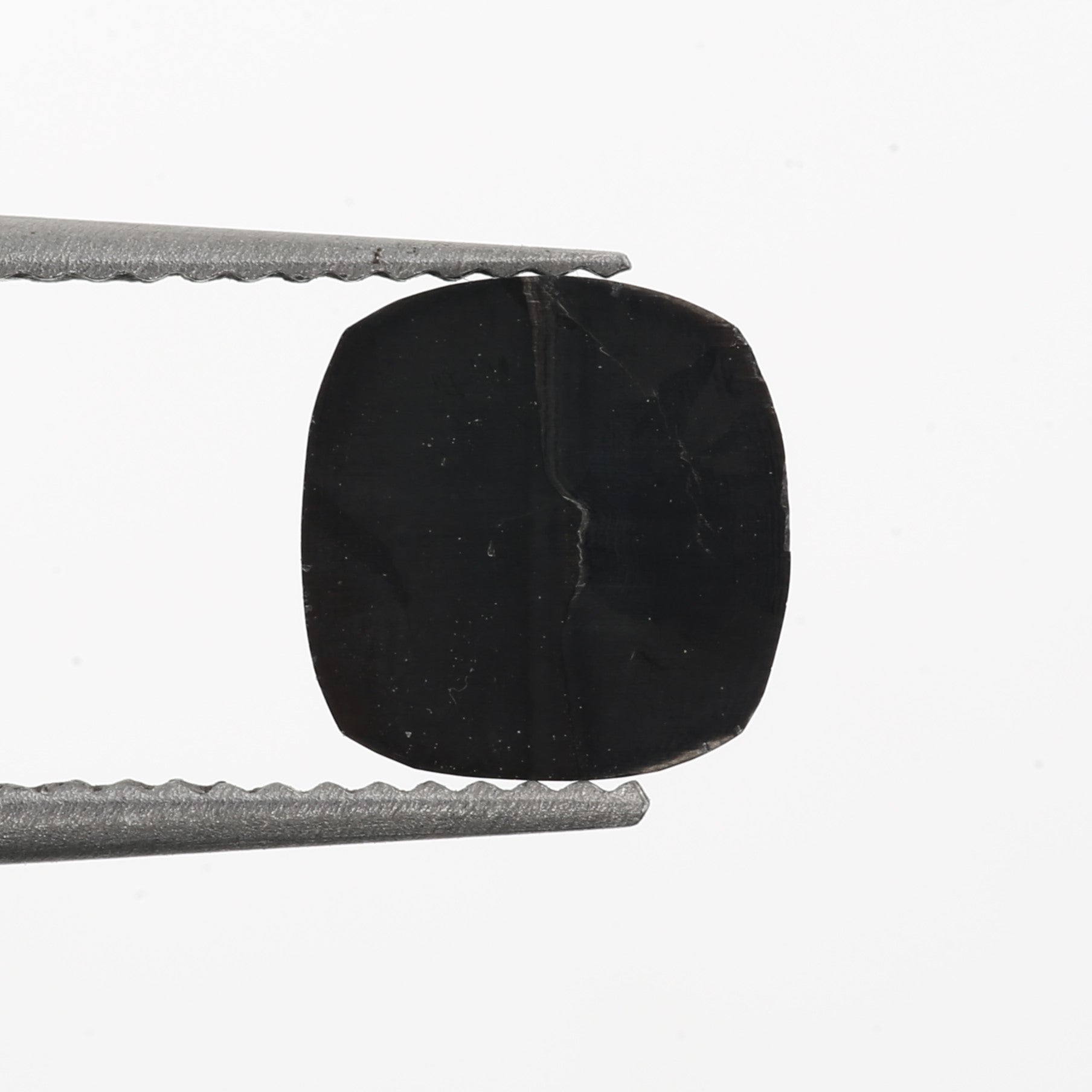 ClariOLED Transparent OLED Display price