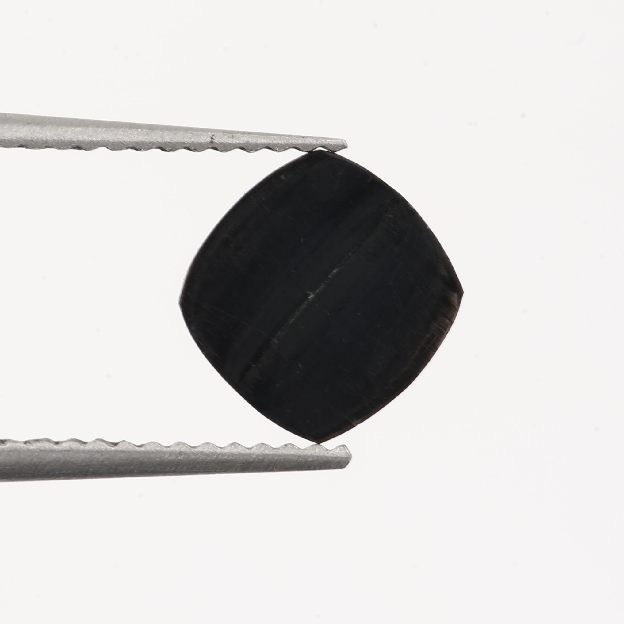 ClariOLED Transparent OLED Display price