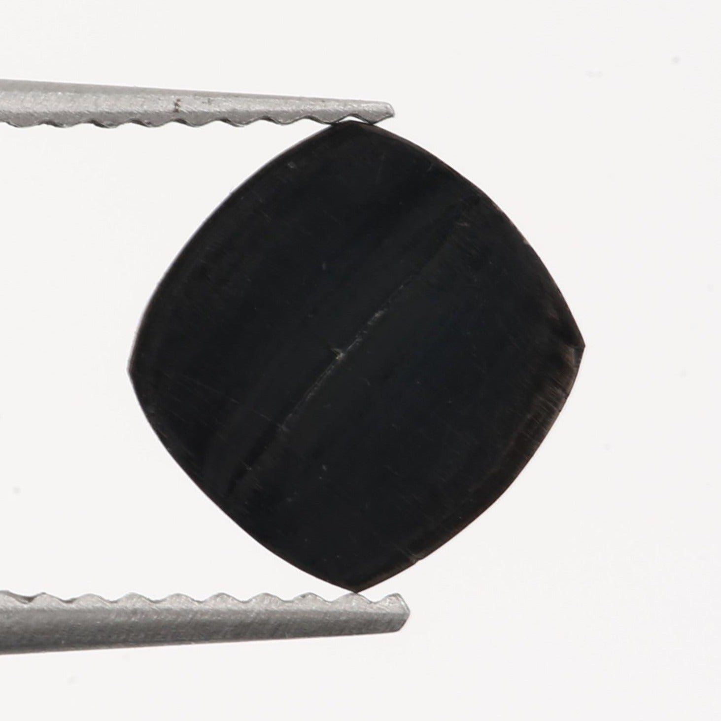 ClariOLED Transparent OLED Display price