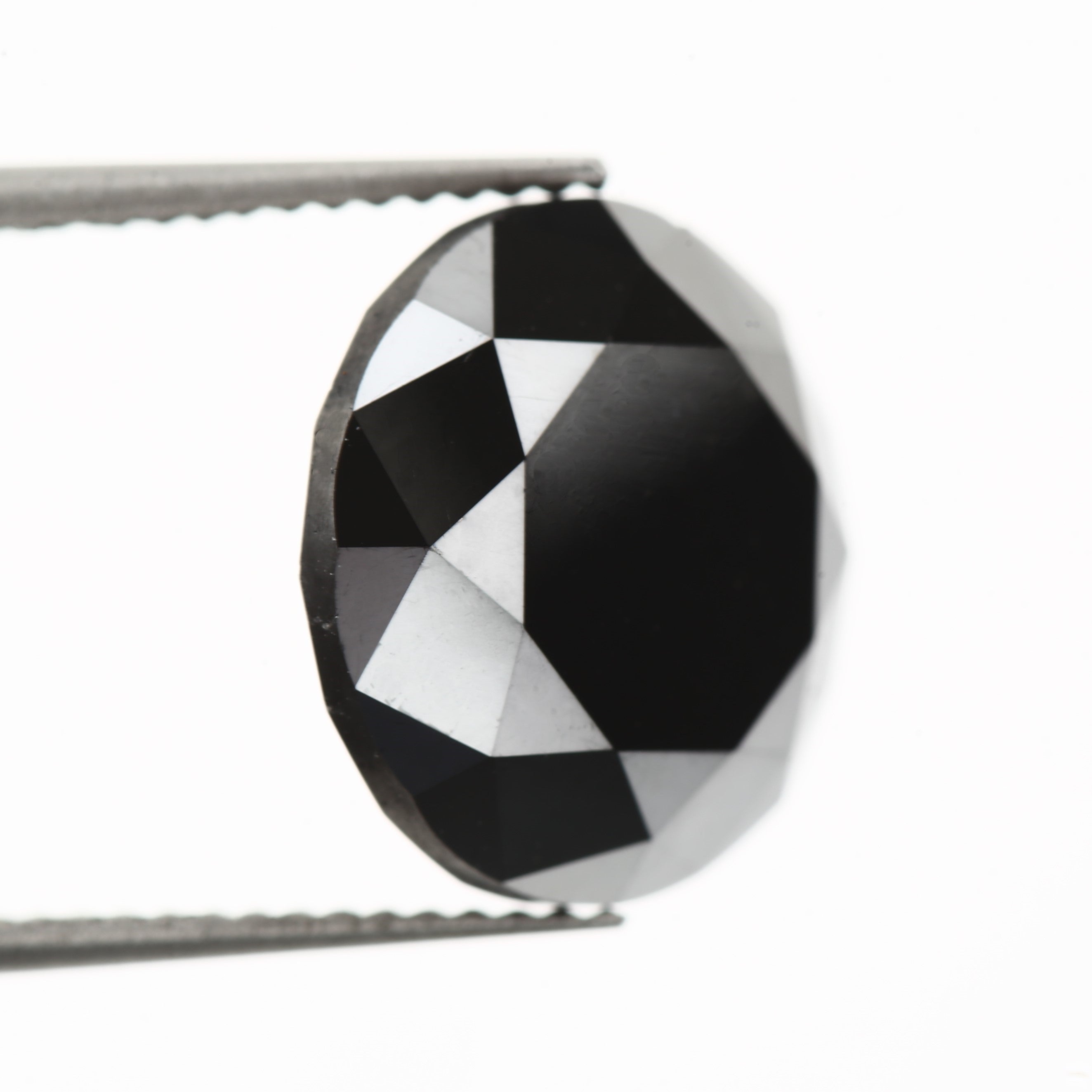 ClariOLED Transparent OLED Display price