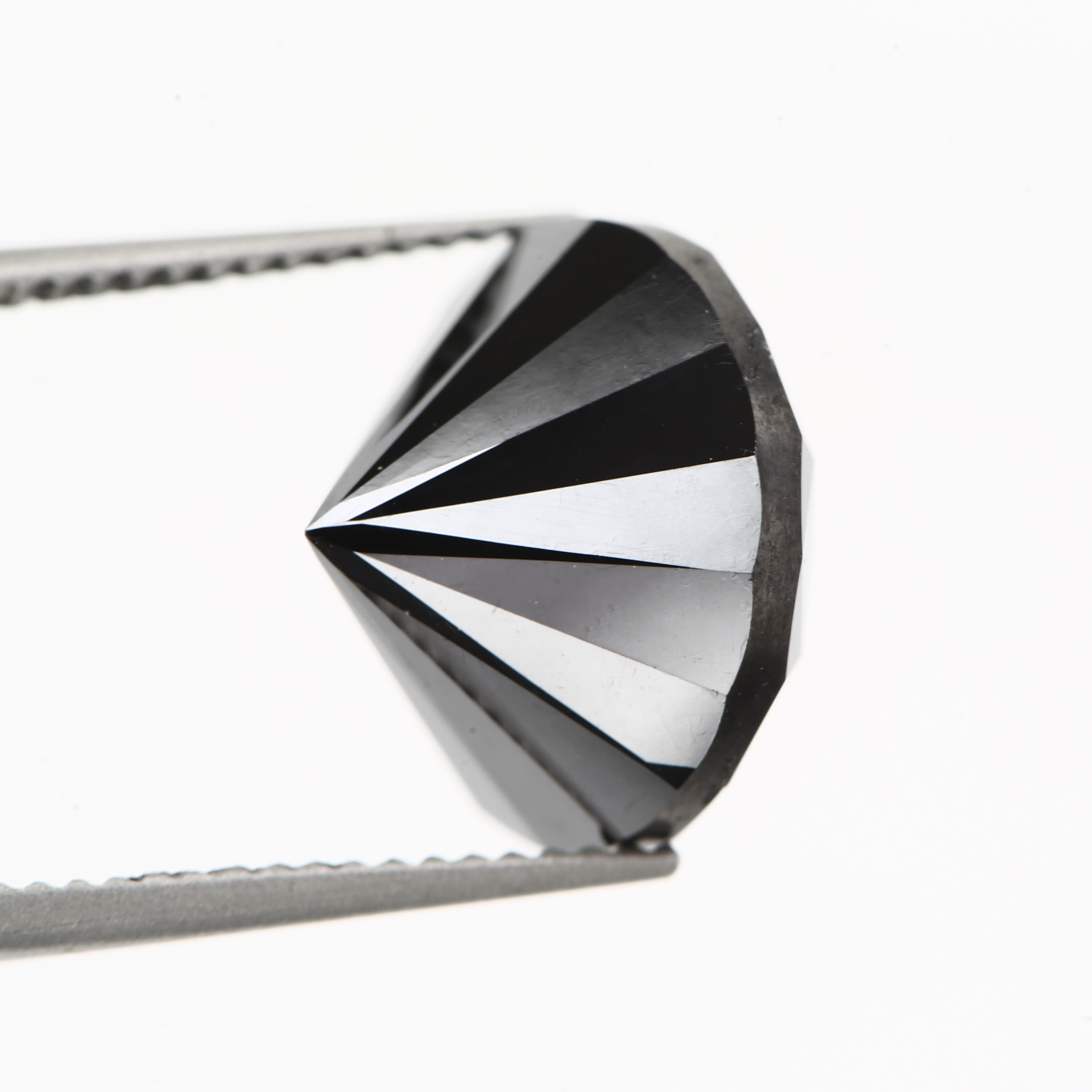 ClariOLED Transparent OLED Display price