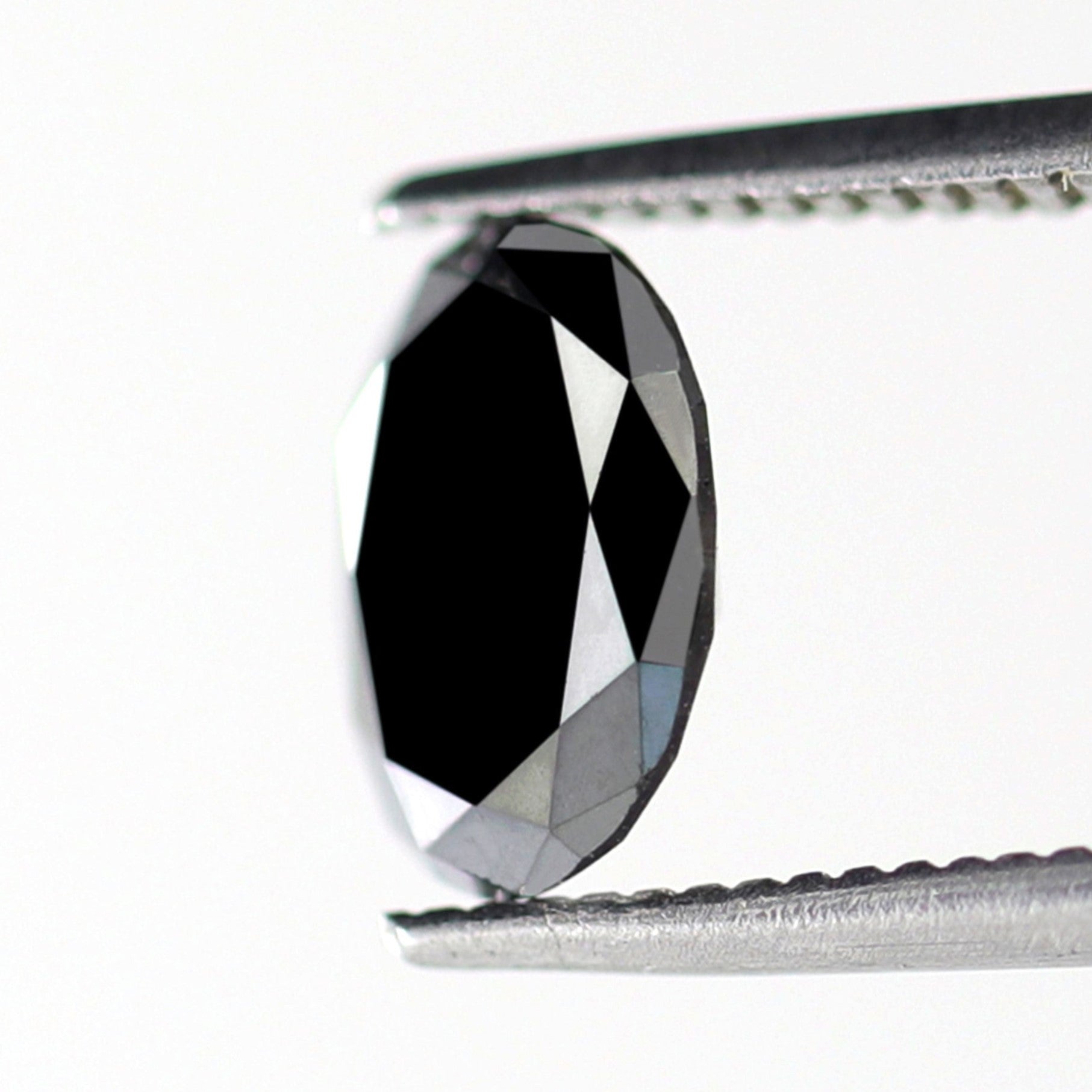 ClariOLED Transparent OLED Display price