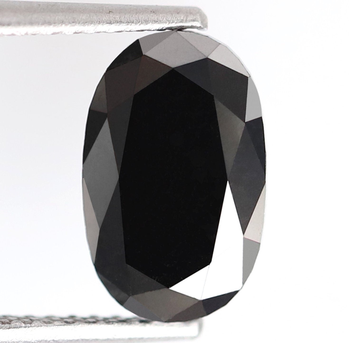 ClariOLED Transparent OLED Display price