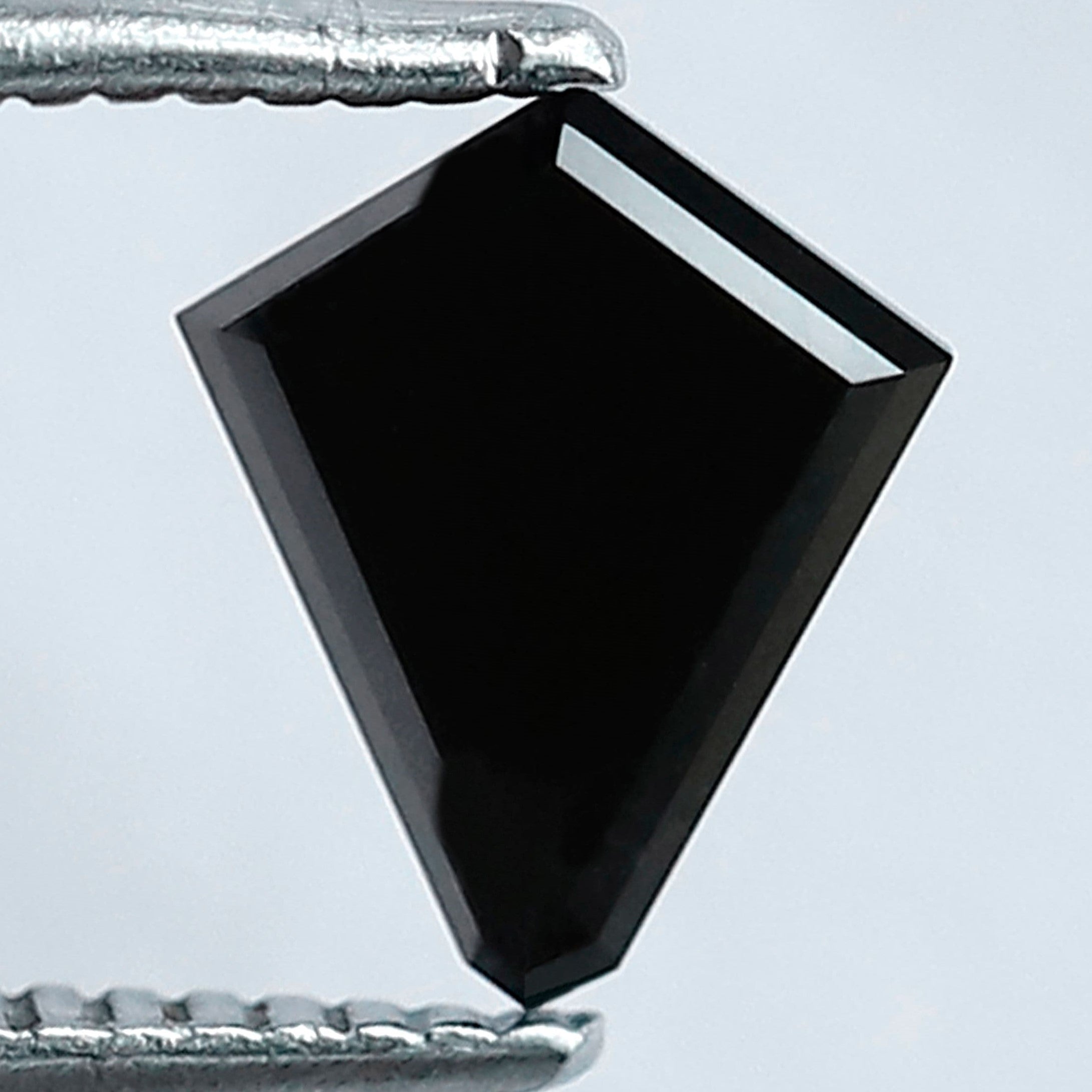 ClariOLED Transparent OLED Display price