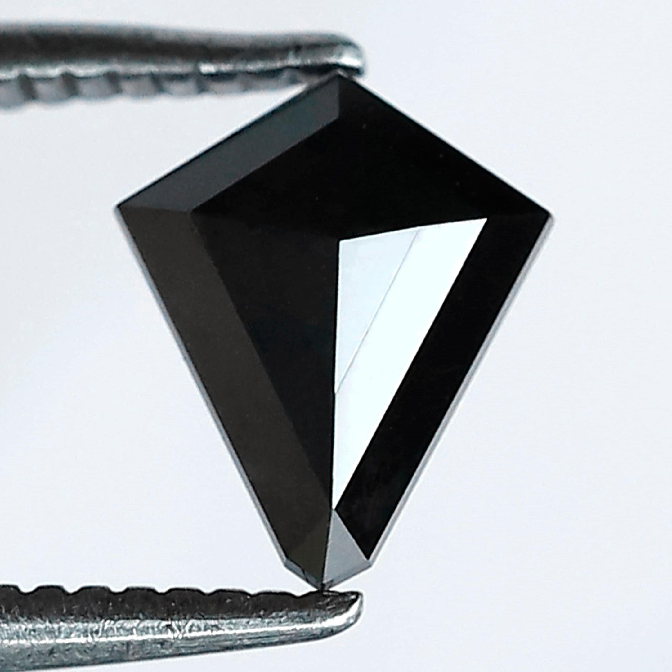 ClariOLED Transparent OLED Display price