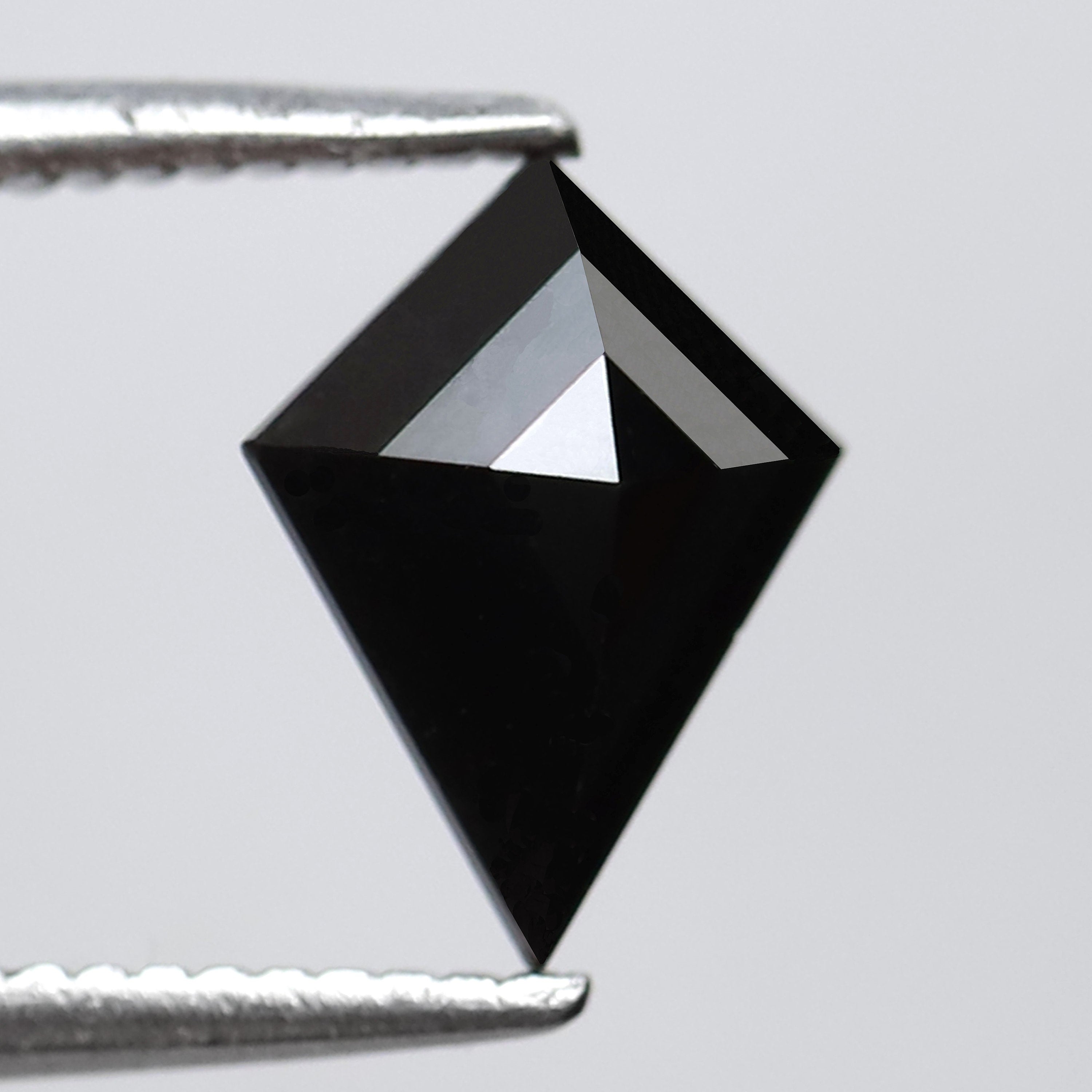 ClariOLED Transparent OLED Display price