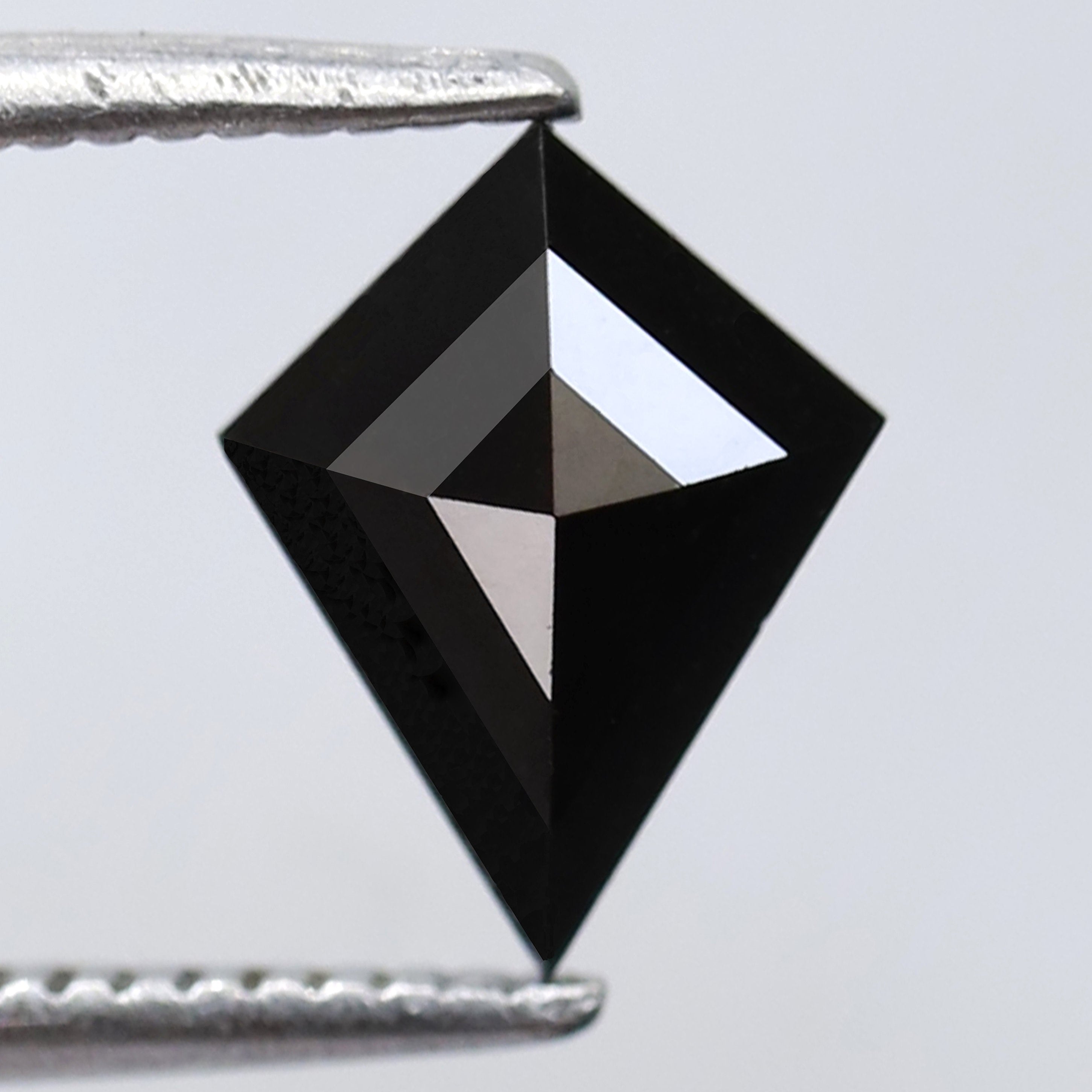 ClariOLED Transparent OLED Display price