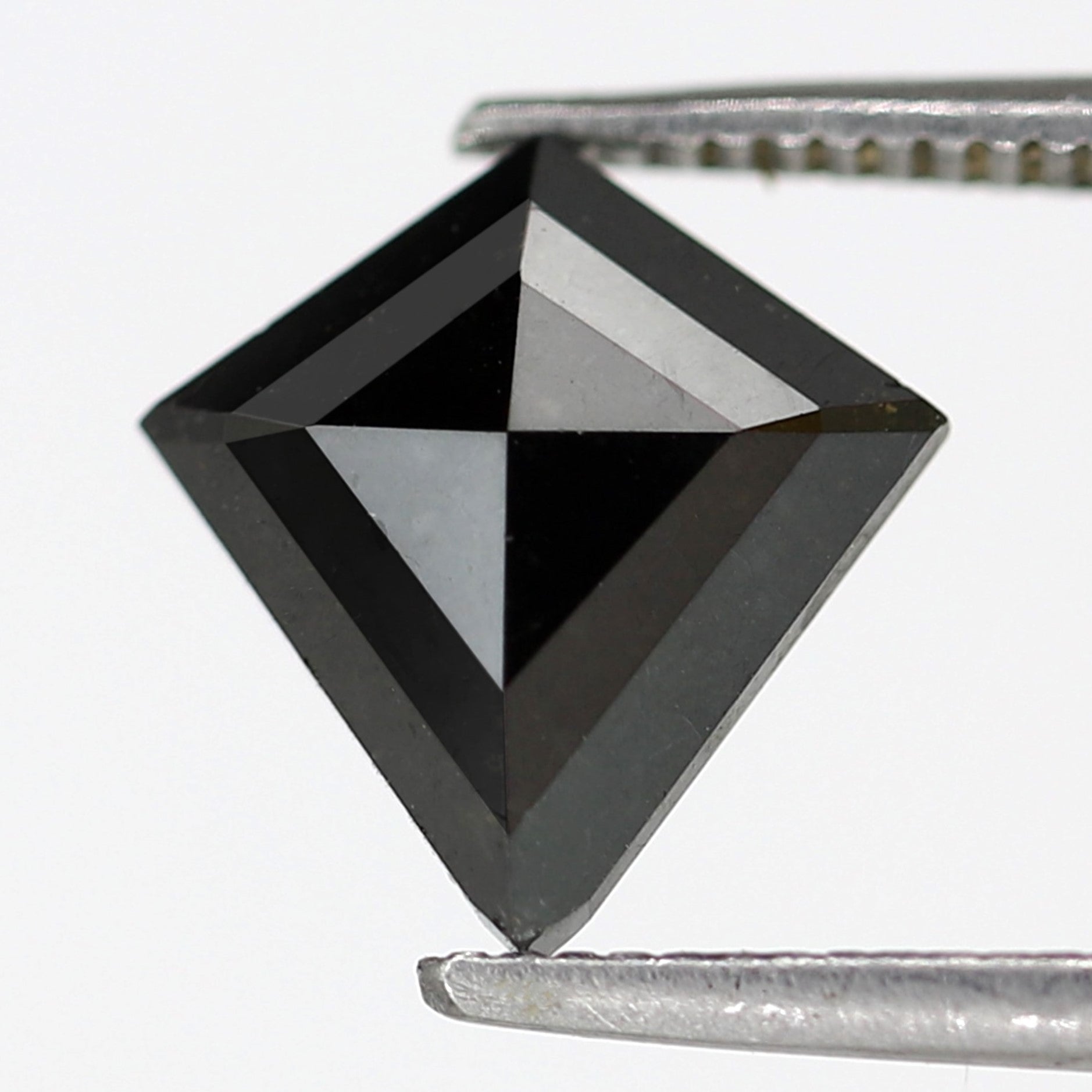 ClariOLED Transparent OLED Display price