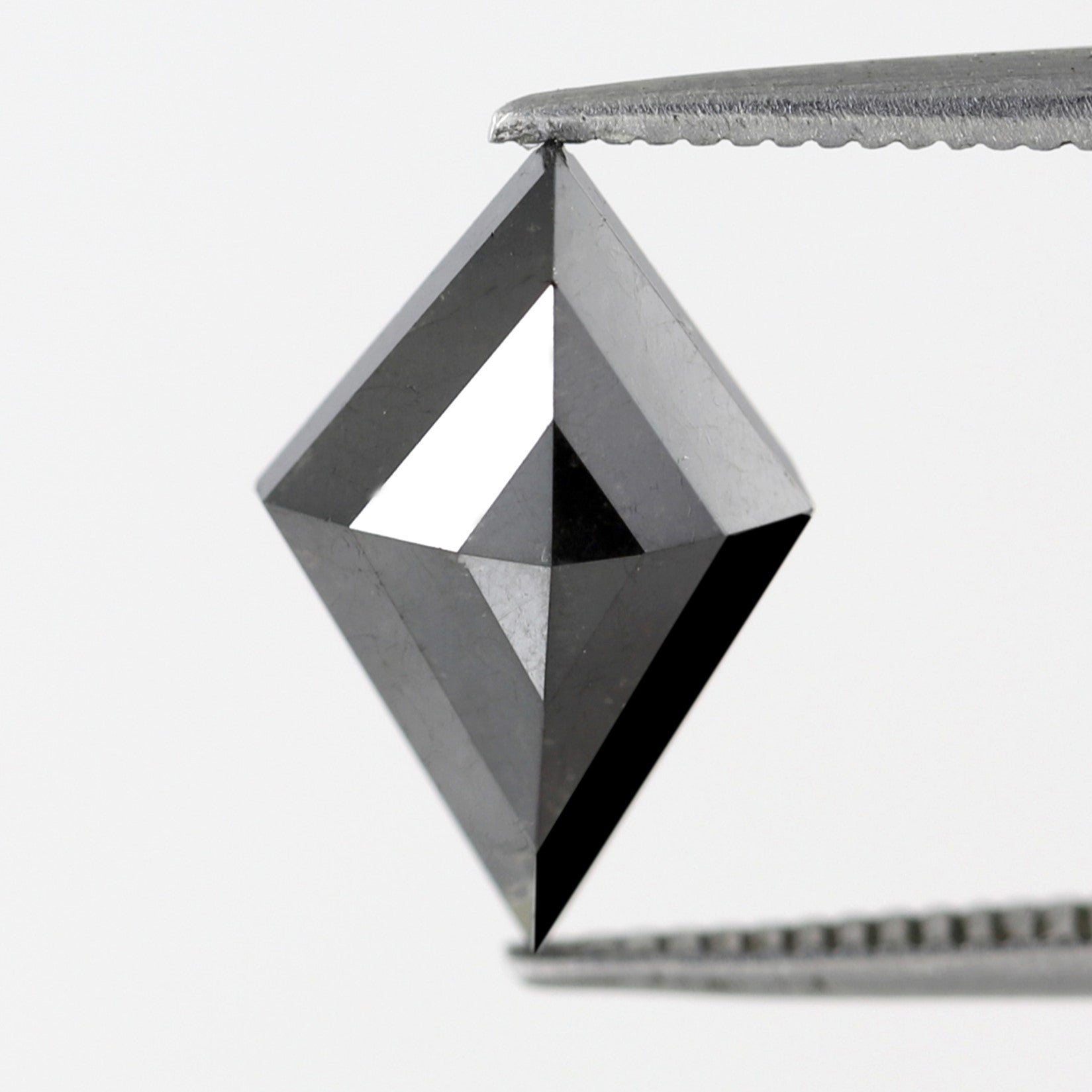 ClariOLED Transparent OLED Display price