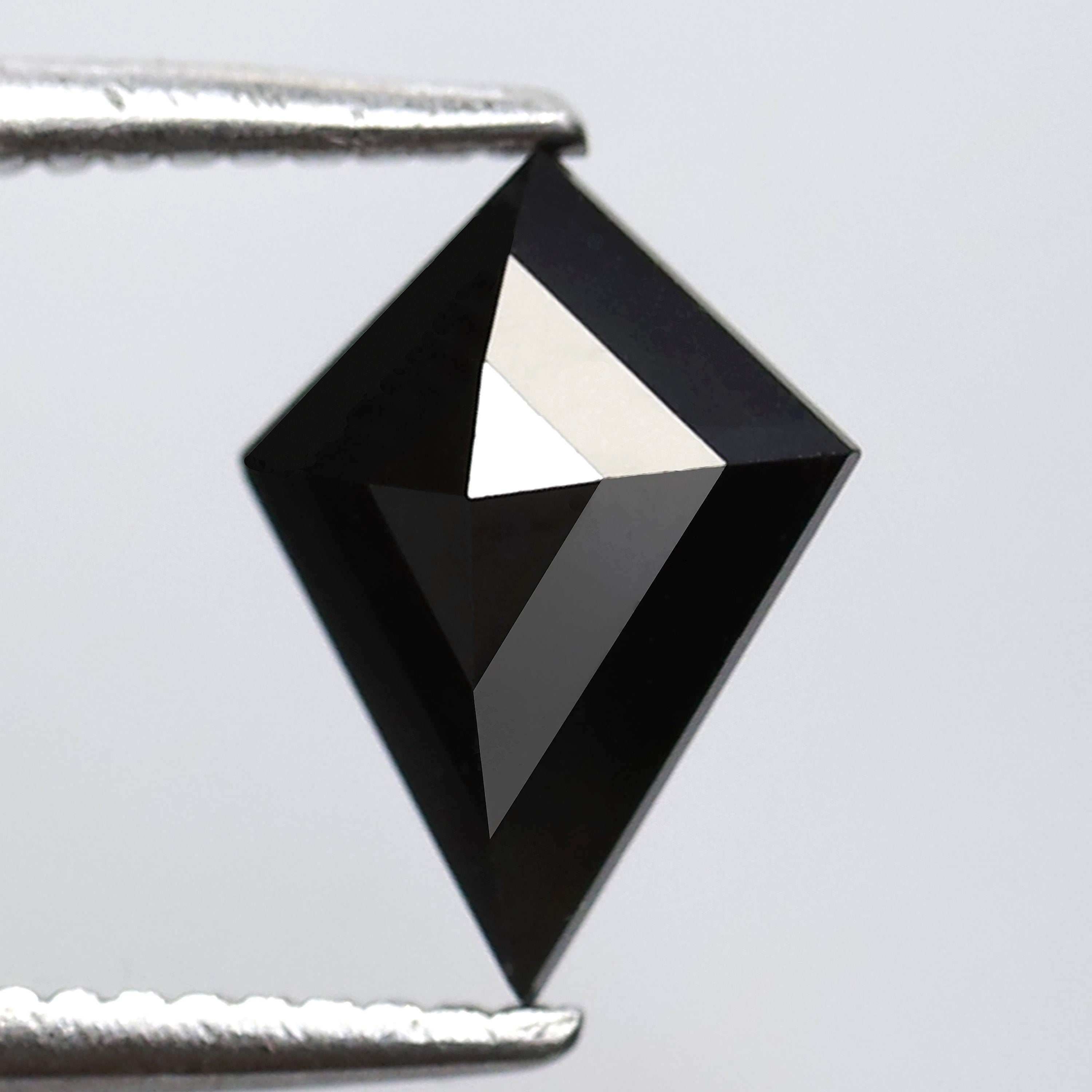 ClariOLED Transparent OLED Display price