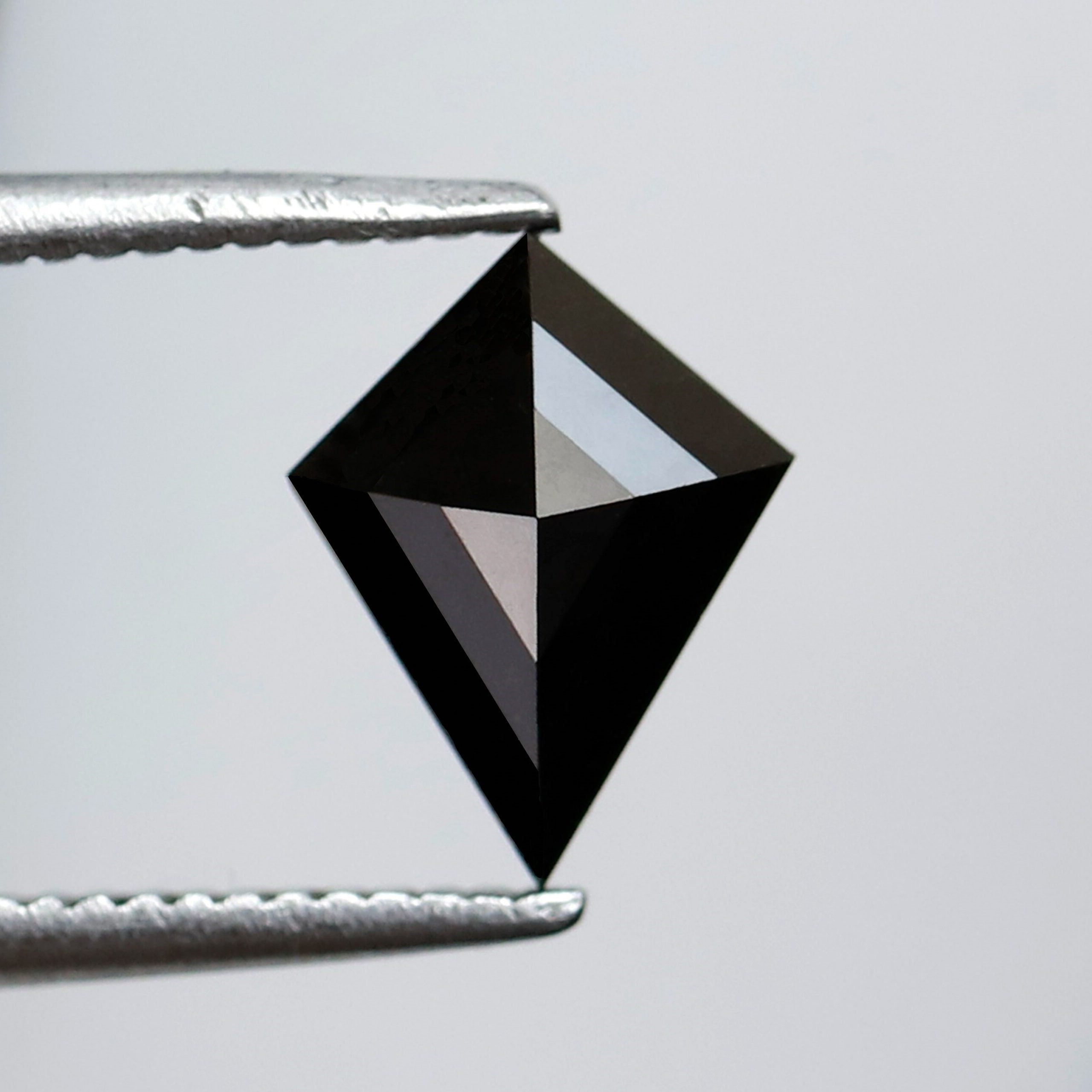 ClariOLED Transparent OLED Display price