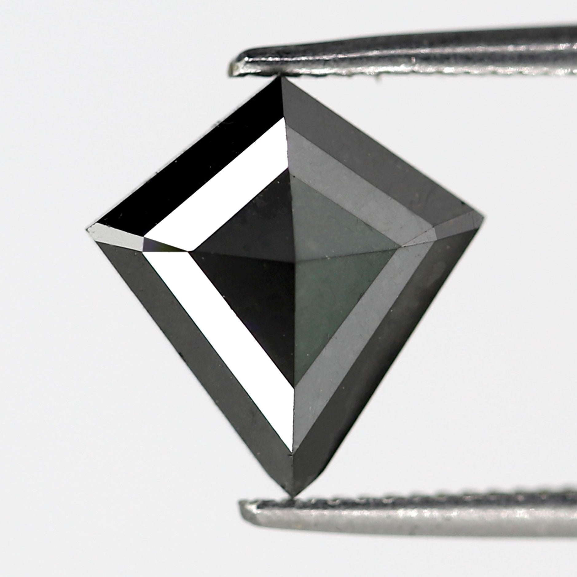 ClariOLED Transparent OLED Display price