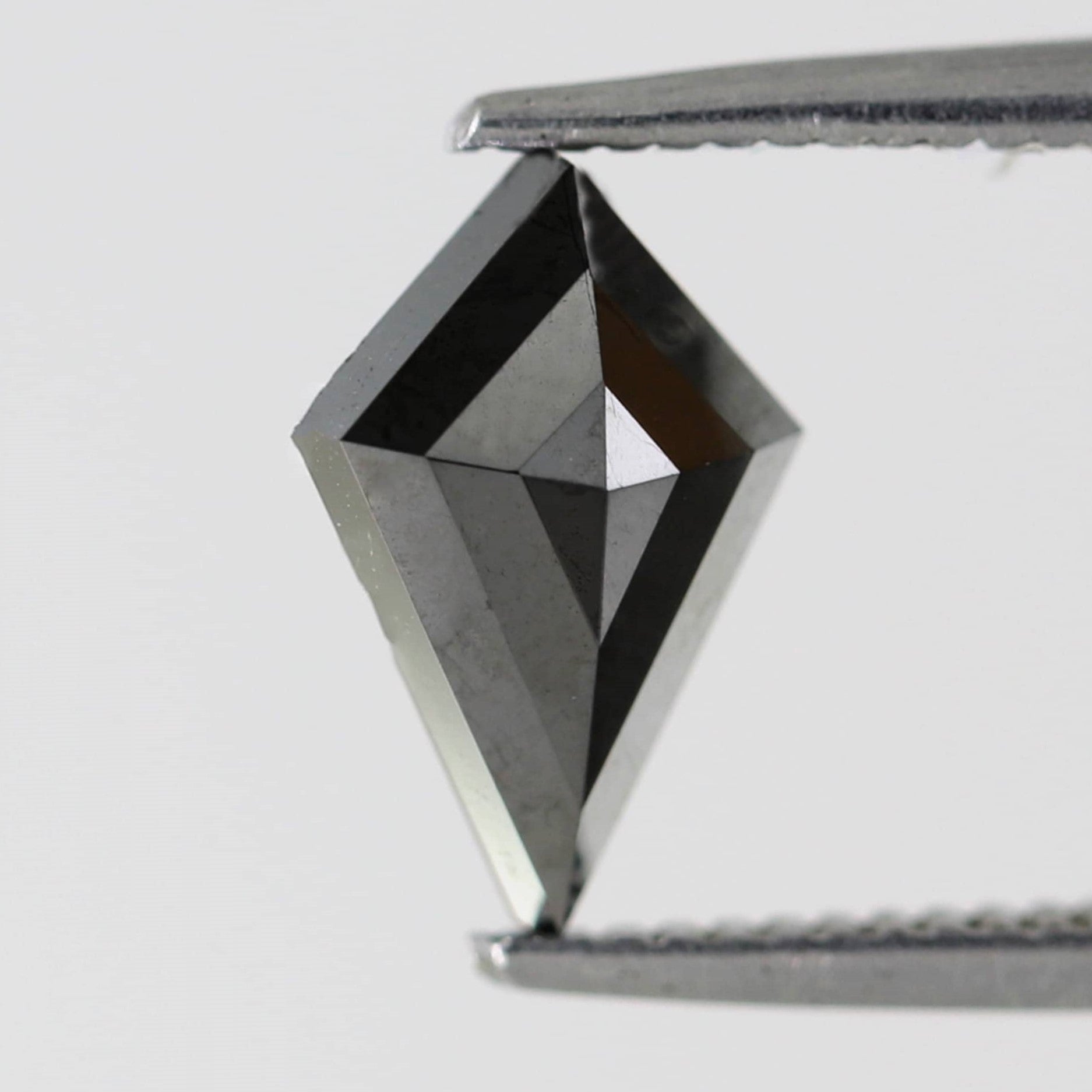 ClariOLED Transparent OLED Display price