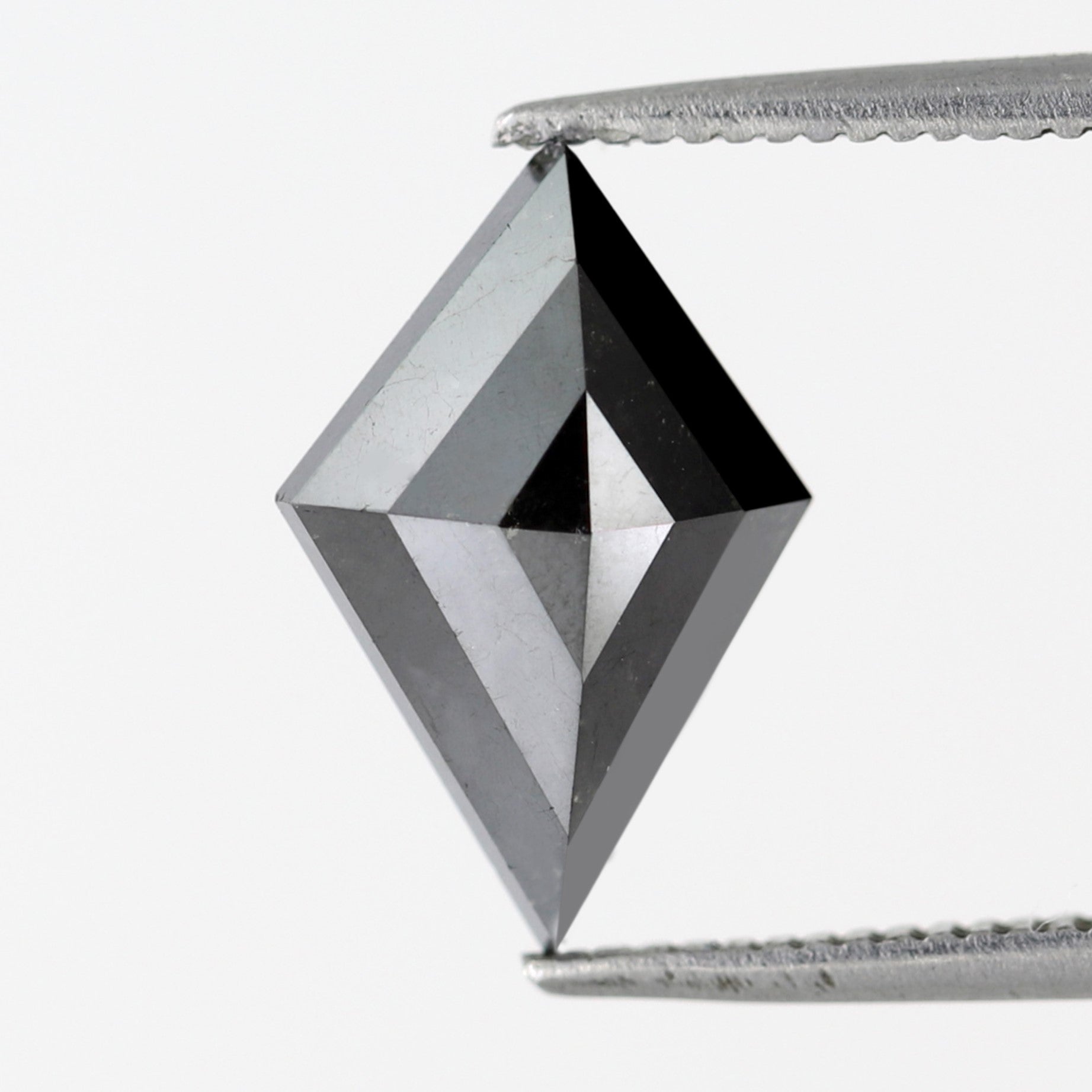 ClariOLED Transparent OLED Display price