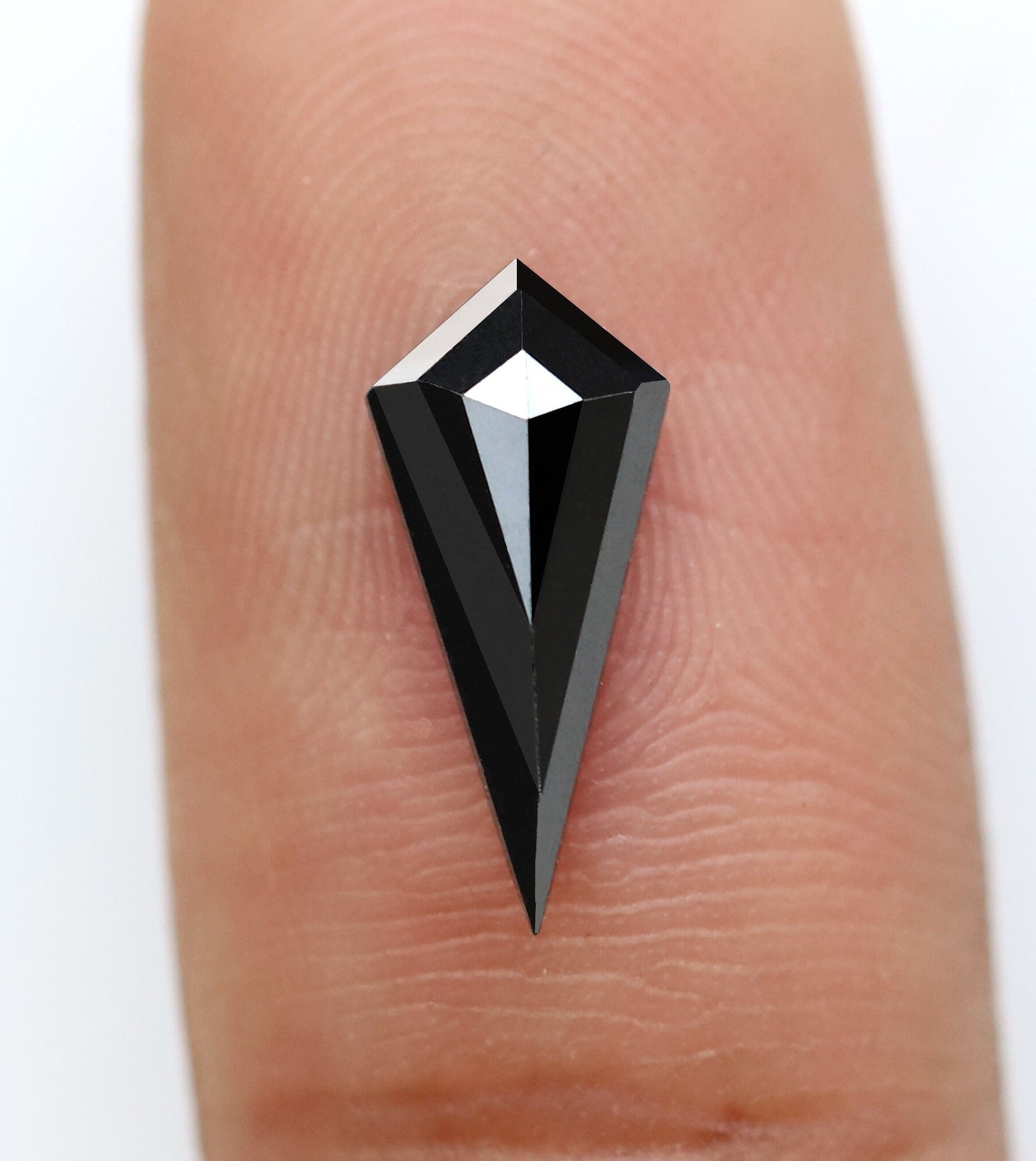 ClariOLED Transparent OLED Display price