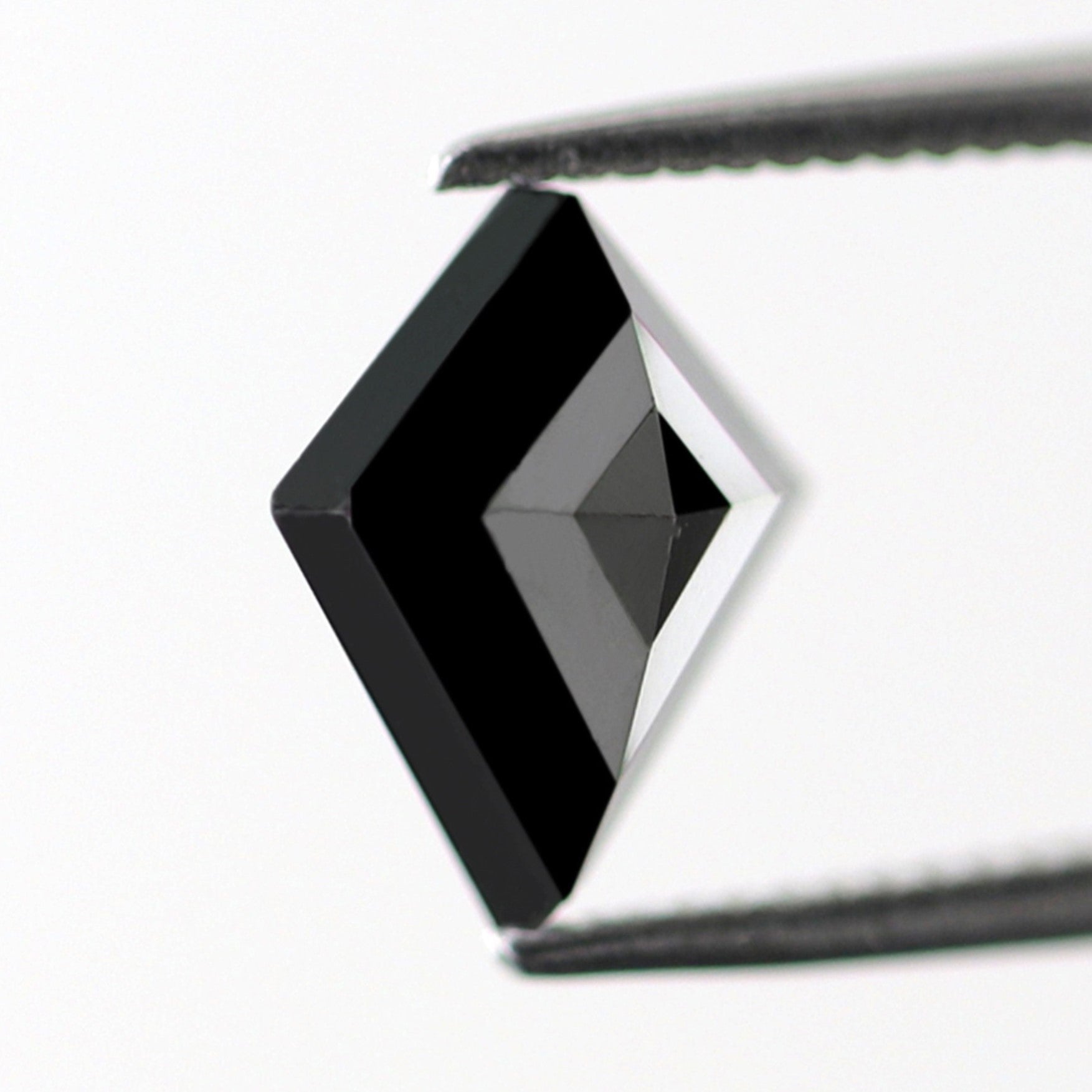 ClariOLED Transparent OLED Display price