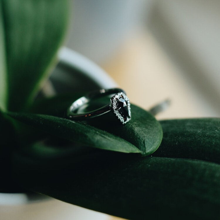 ClariOLED Transparent OLED Display price