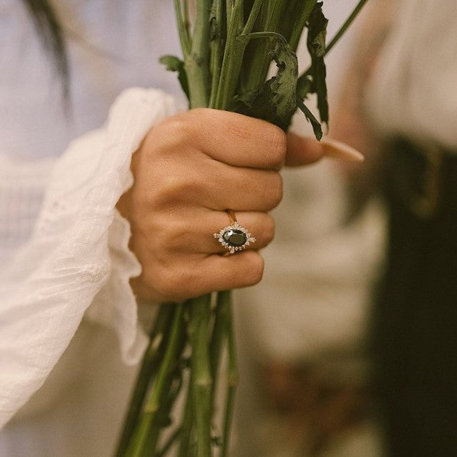 ClariOLED Transparent OLED Display price