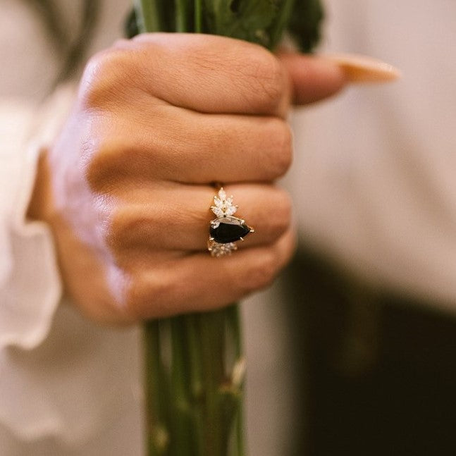 ClariOLED Transparent OLED Display price