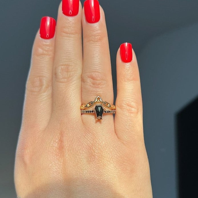 ClariOLED Transparent OLED Display price