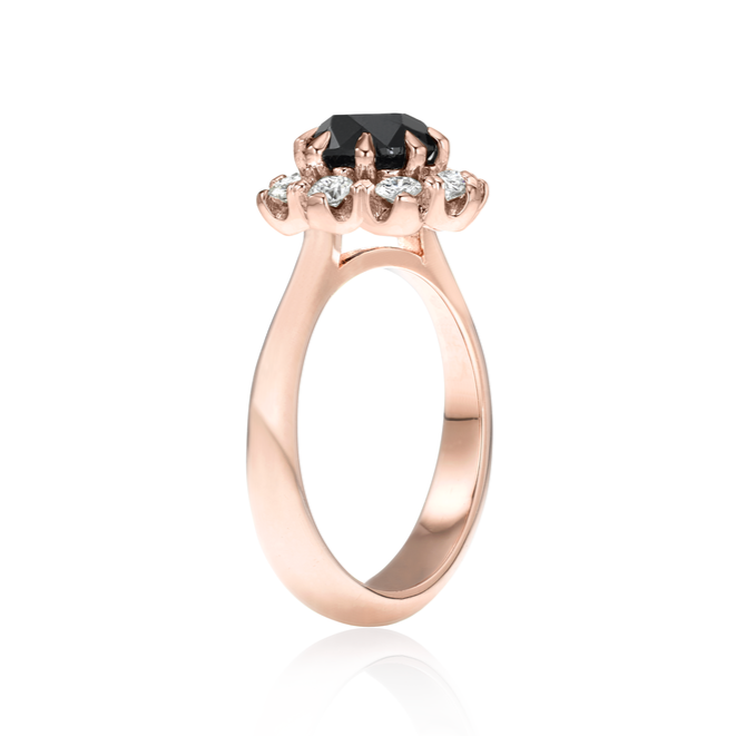 ClariOLED Transparent OLED Display price