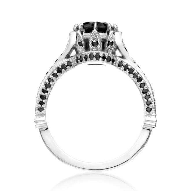 ClariOLED Transparent OLED Display price