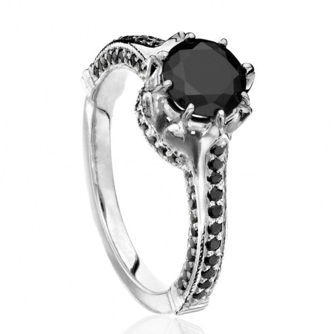 ClariOLED Transparent OLED Display price