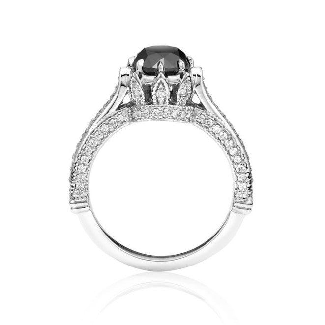 ClariOLED Transparent OLED Display price