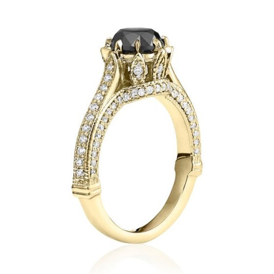 ClariOLED Transparent OLED Display price