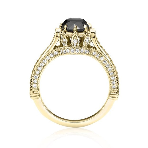 ClariOLED Transparent OLED Display price