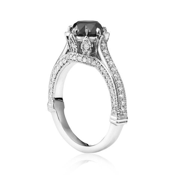 ClariOLED Transparent OLED Display price