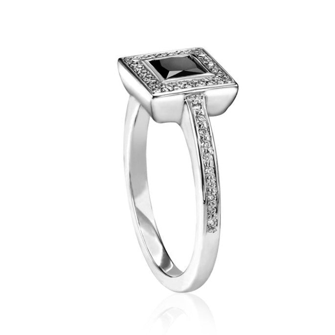 ClariOLED Transparent OLED Display price