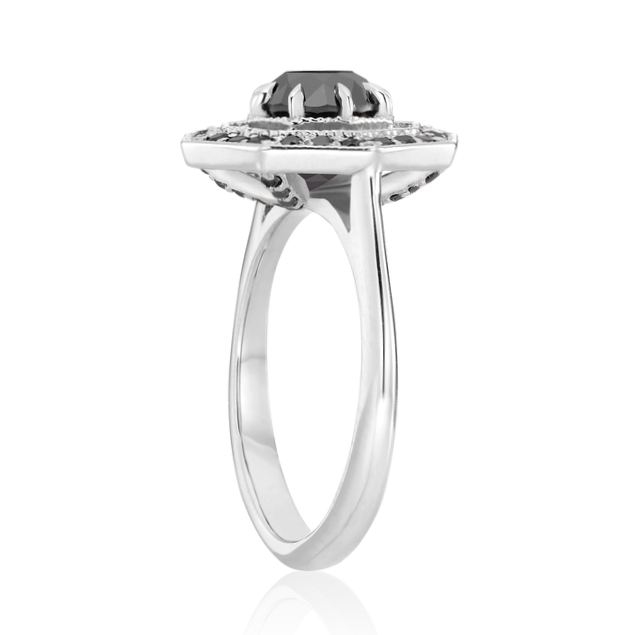 ClariOLED Transparent OLED Display price