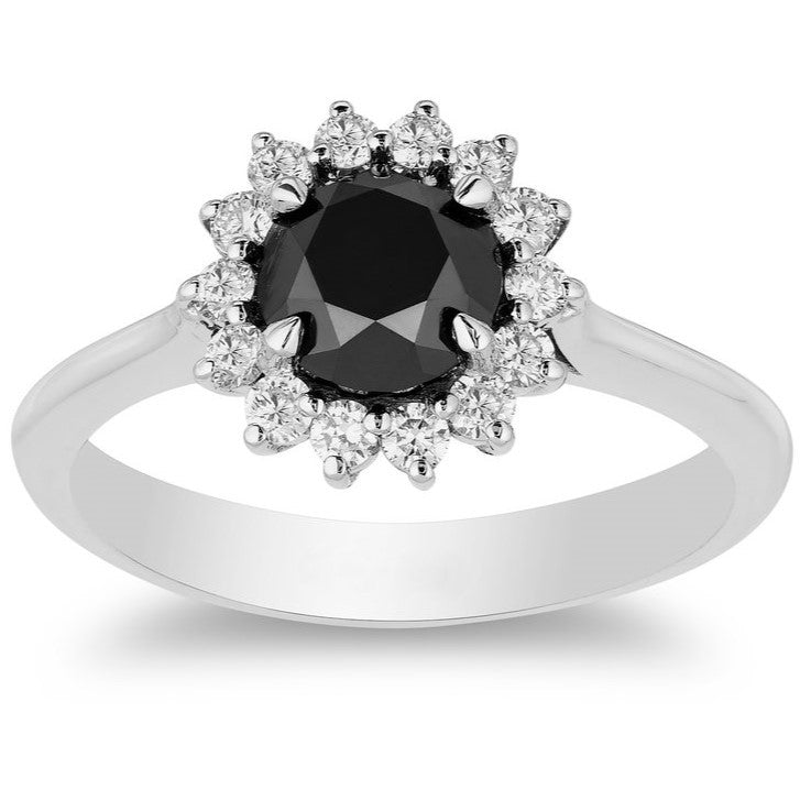 ClariOLED Transparent OLED Display price