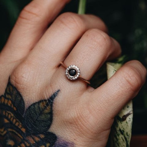 ClariOLED Transparent OLED Display price