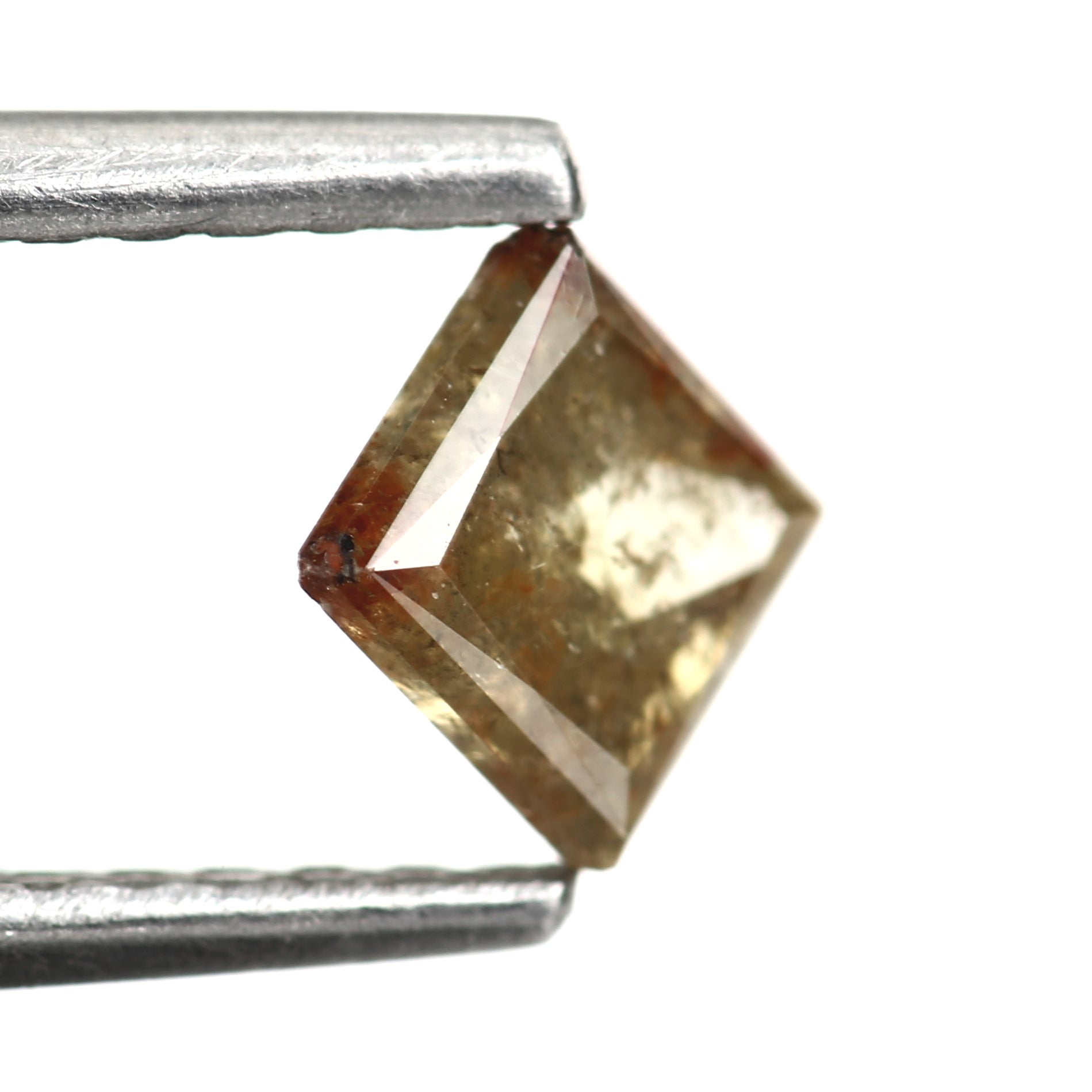 ClariOLED Transparent OLED Display price