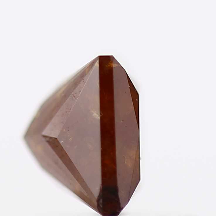 ClariOLED Transparent OLED Display price