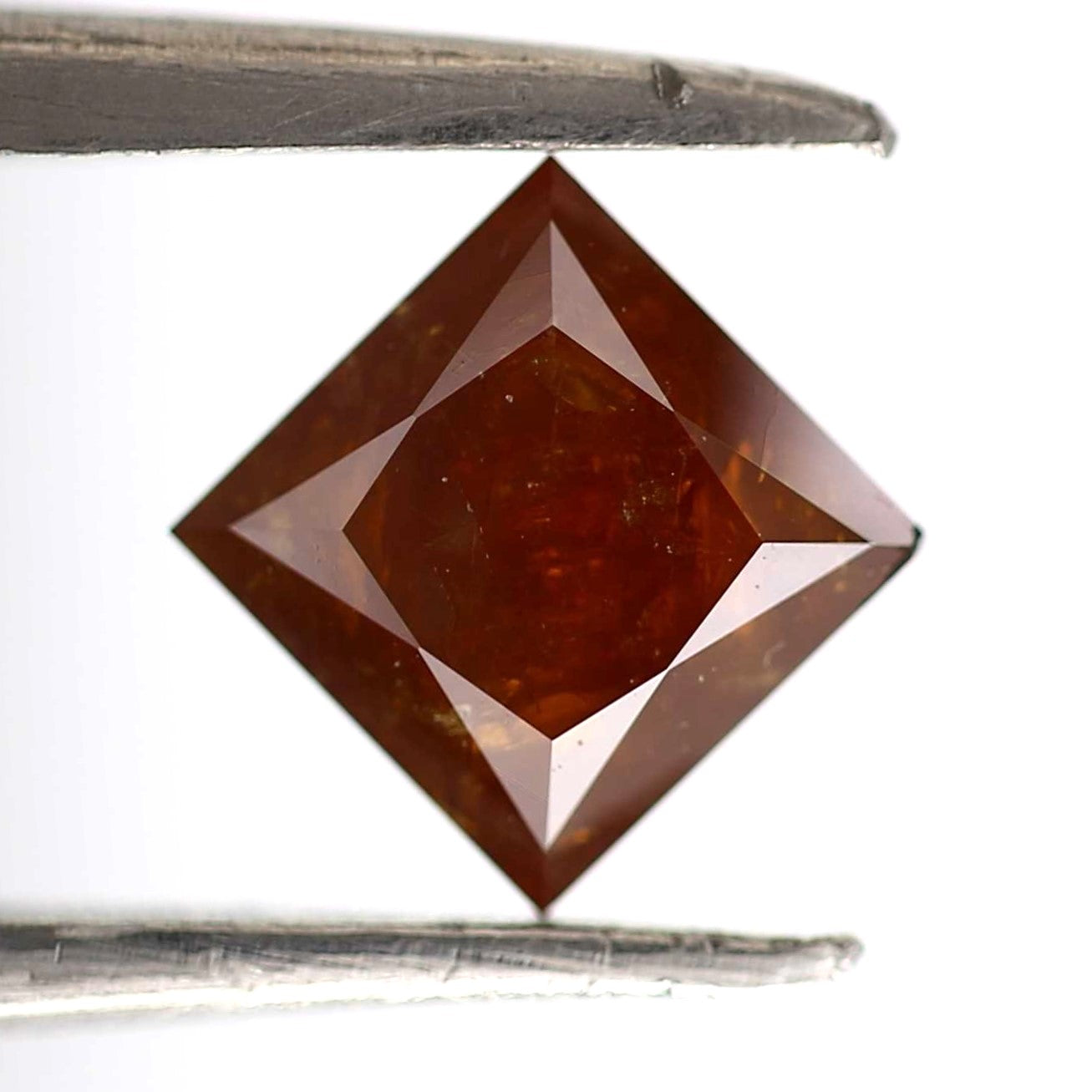 ClariOLED Transparent OLED Display price