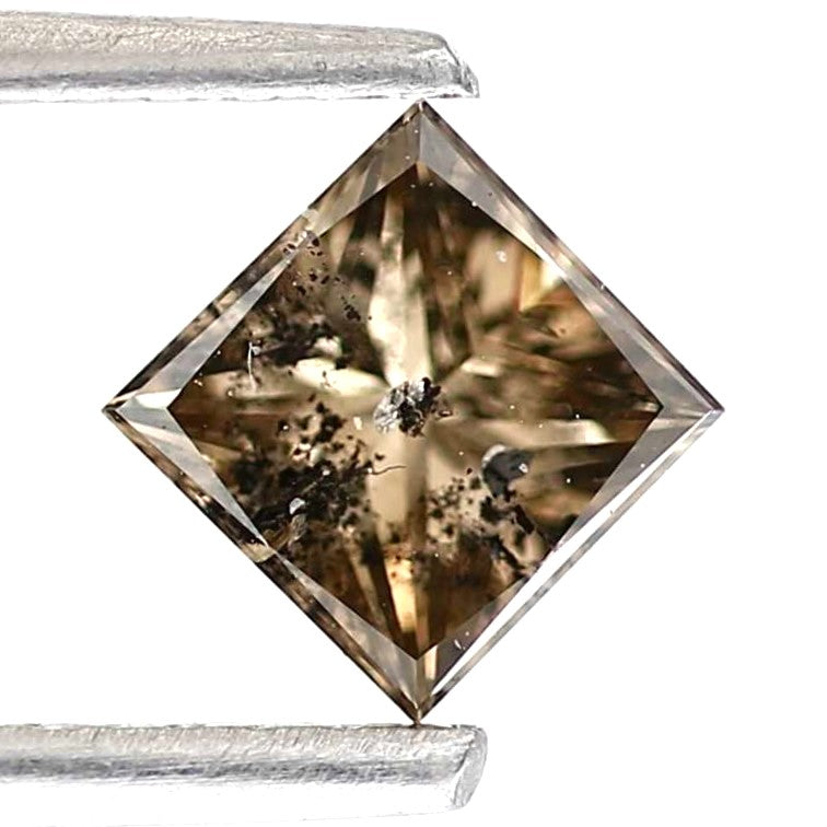 ClariOLED Transparent OLED Display price