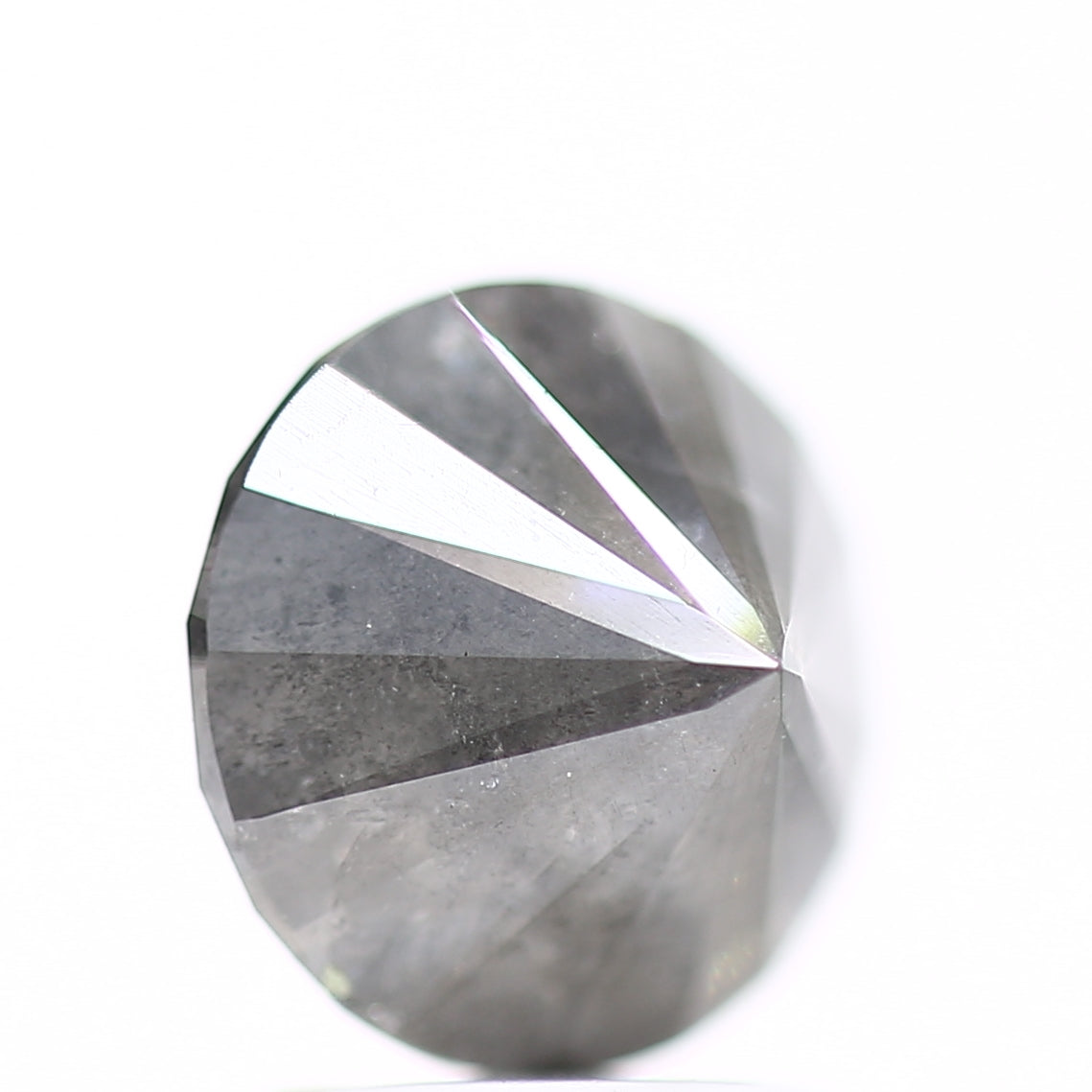 ClariOLED Transparent OLED Display price