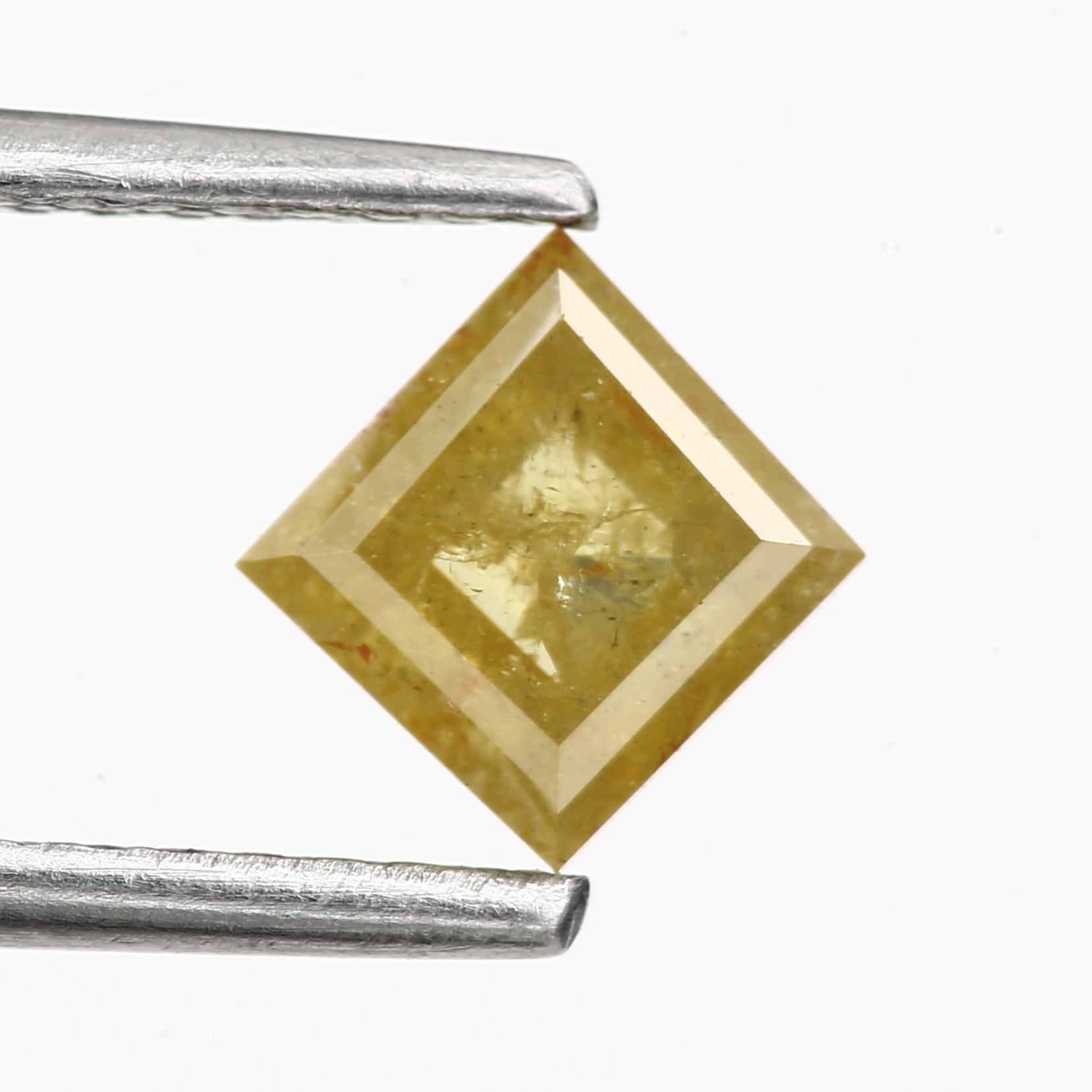 ClariOLED Transparent OLED Display price