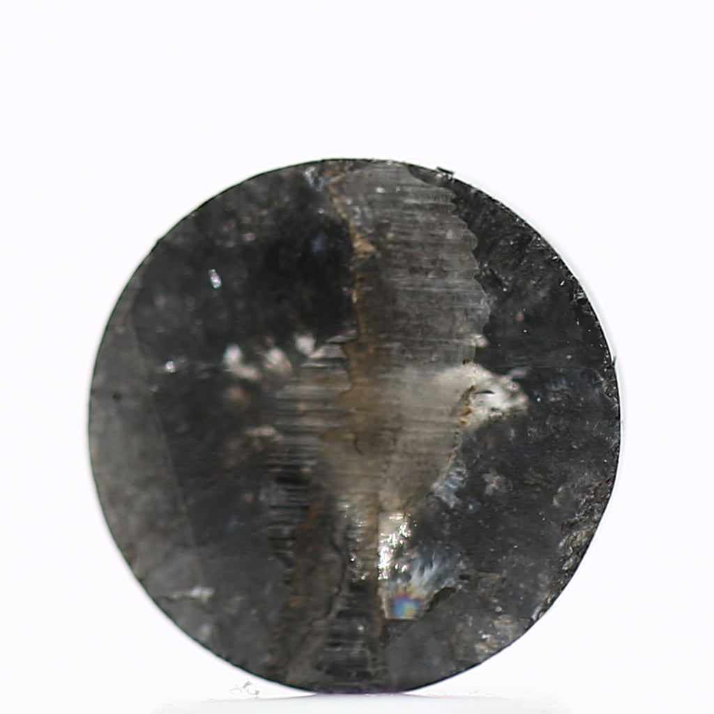 ClariOLED Transparent OLED Display price