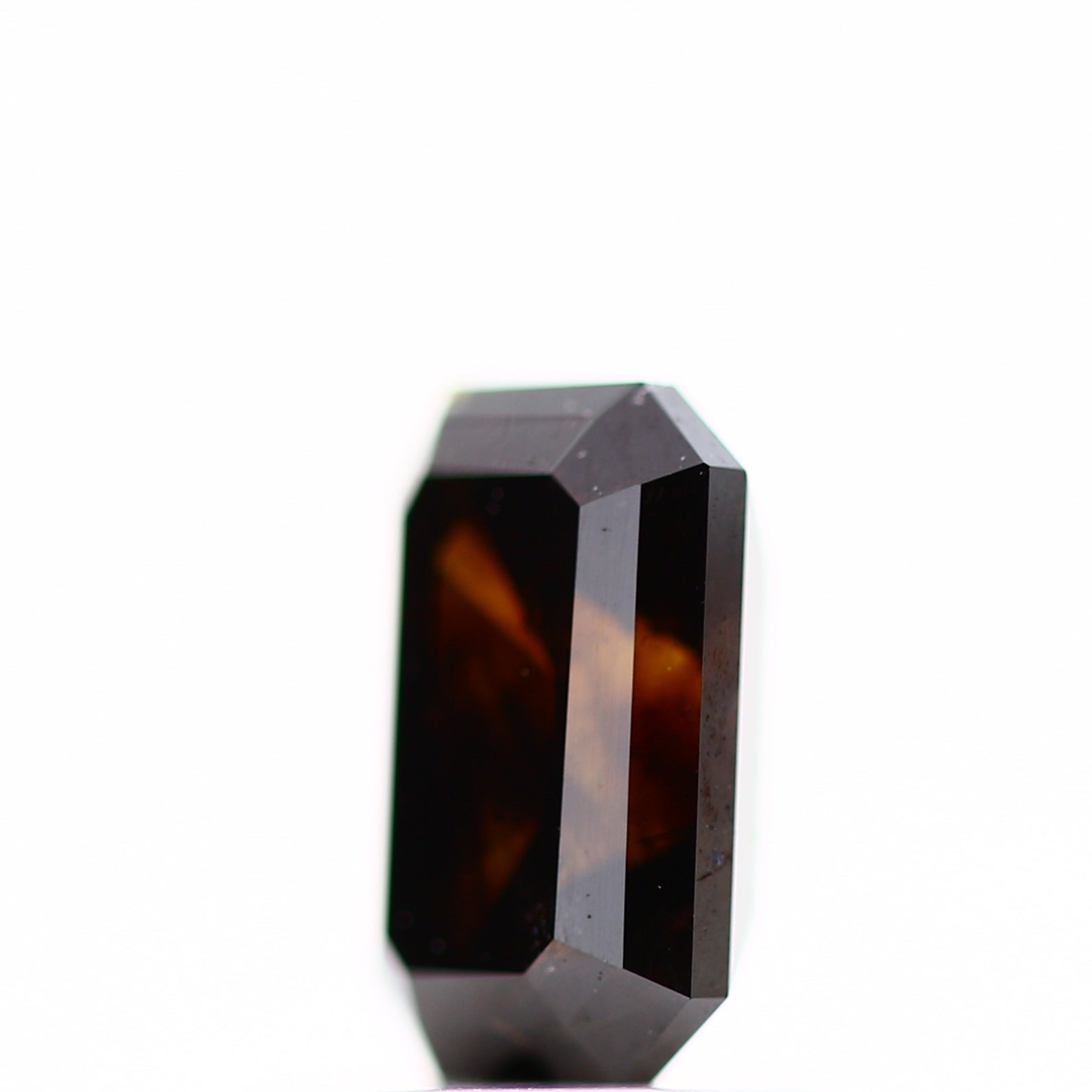 ClariOLED Transparent OLED Display price