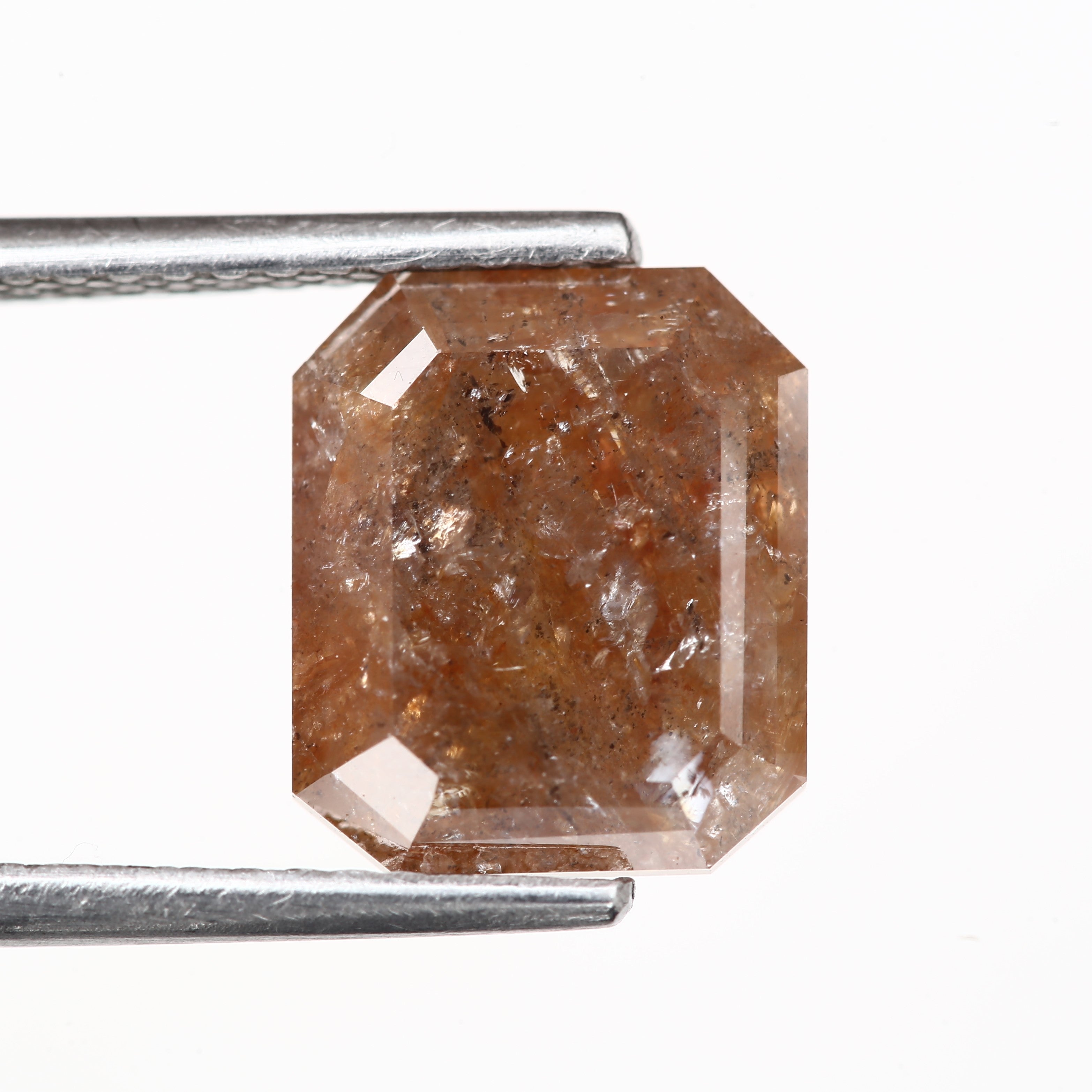 ClariOLED Transparent OLED Display price