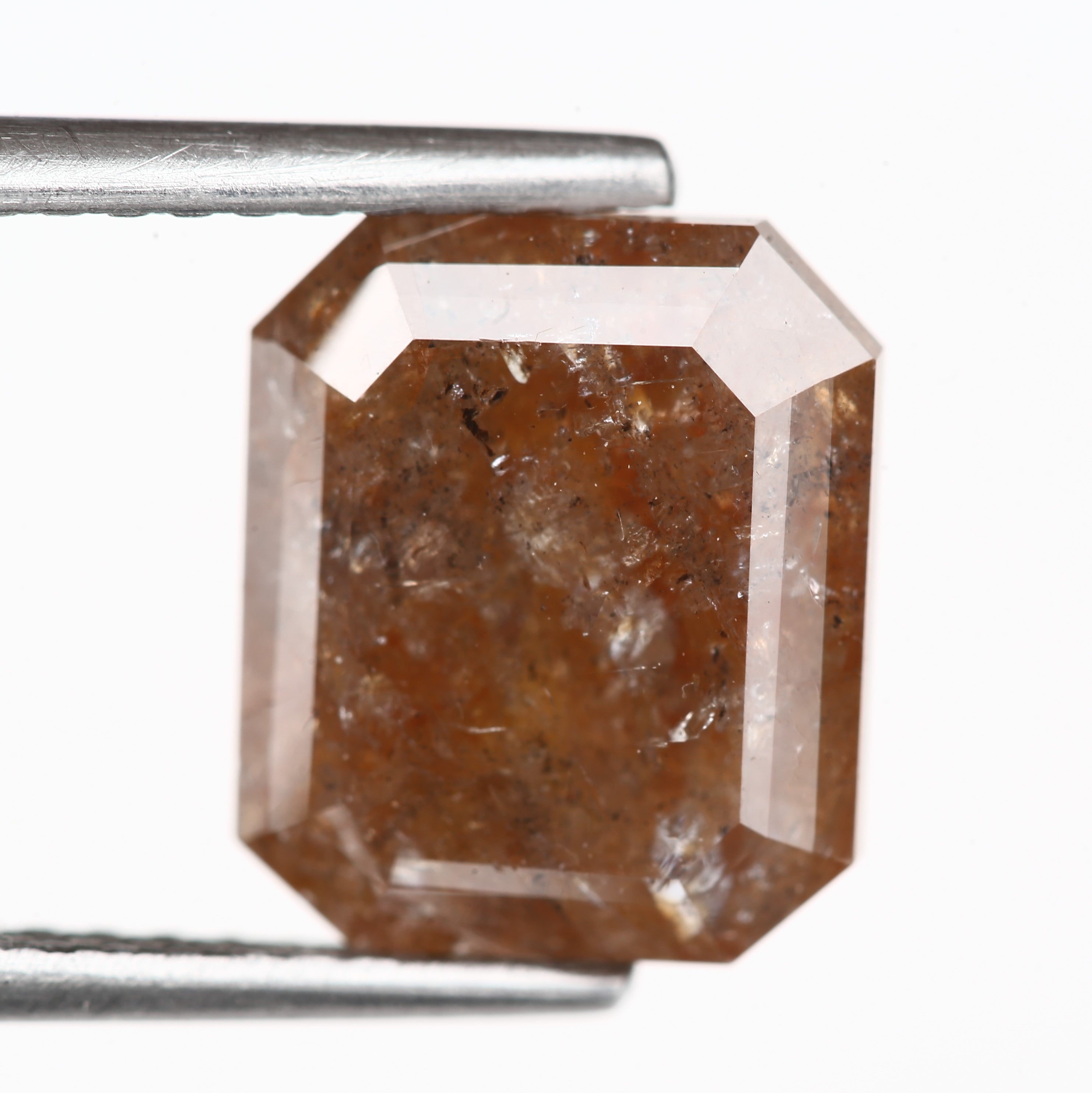 ClariOLED Transparent OLED Display price