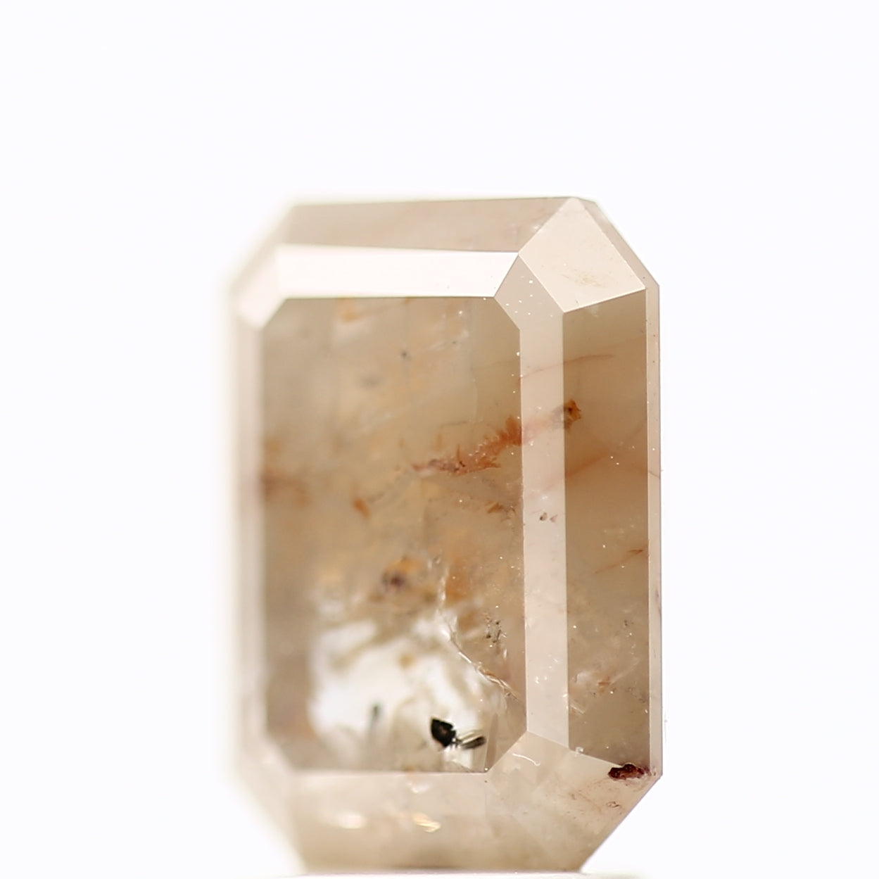 ClariOLED Transparent OLED Display price